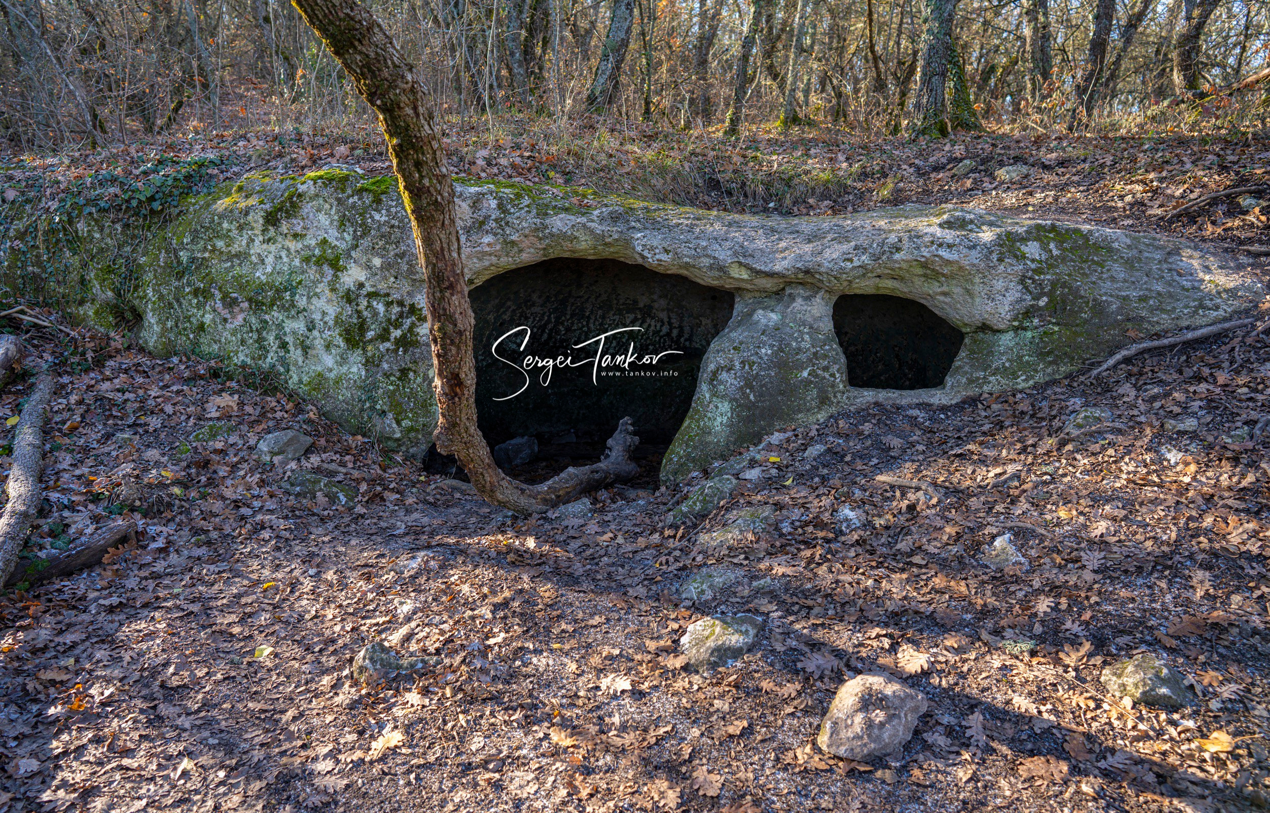 Крым (январь 2020). Фотограф Сергей Танков