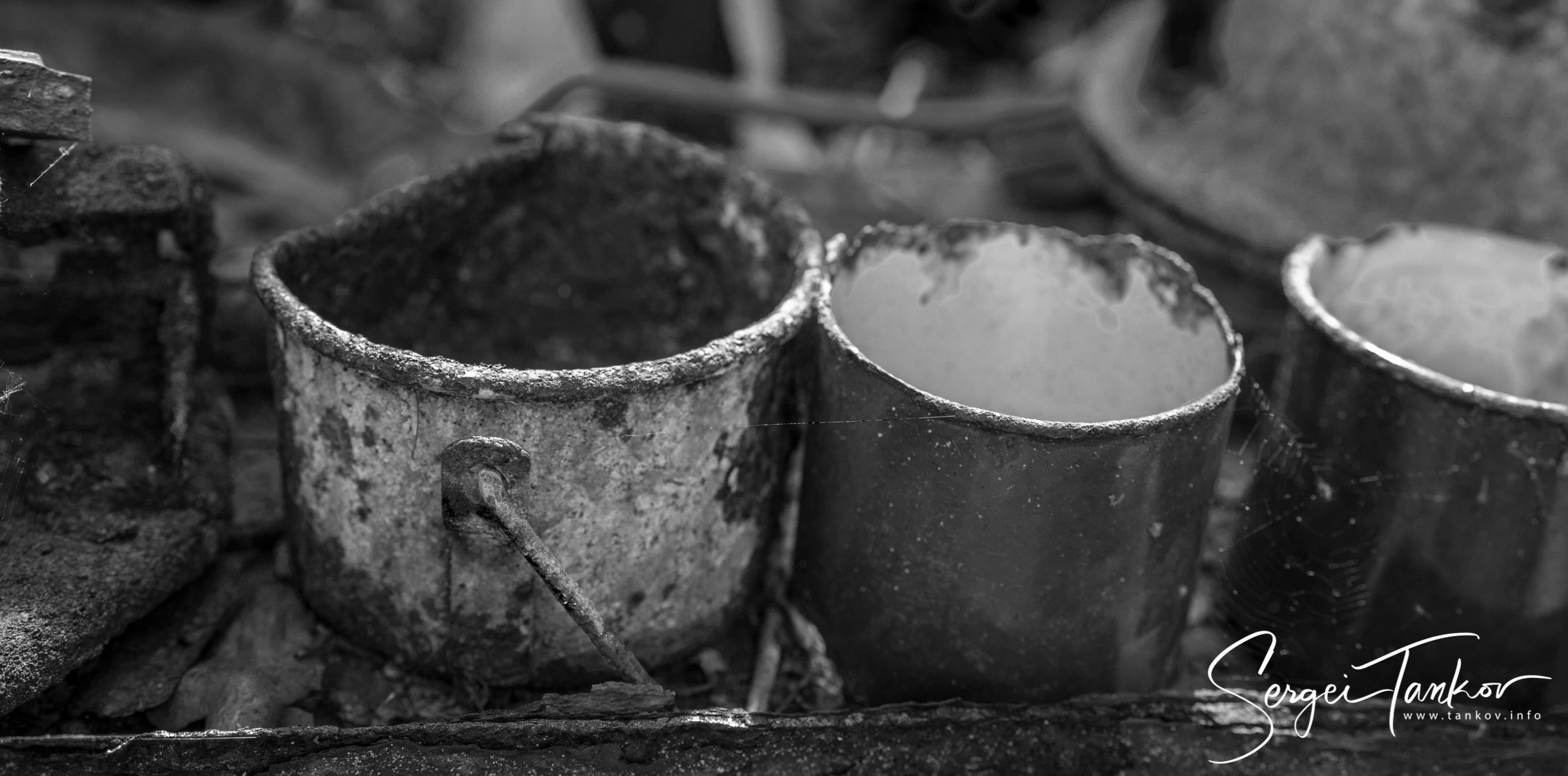 Калининград (июнь 2019). Фотограф Сергей Танков