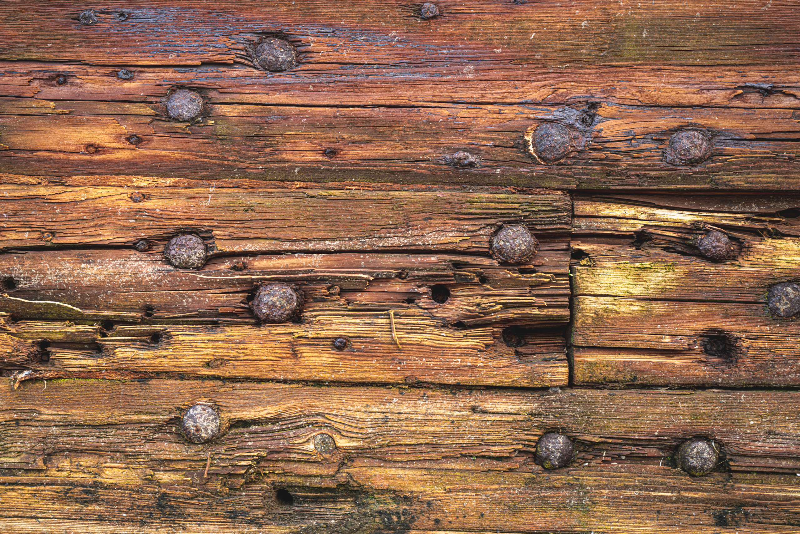 Териберка (октябрь 2020). Фотограф Сергей Танков