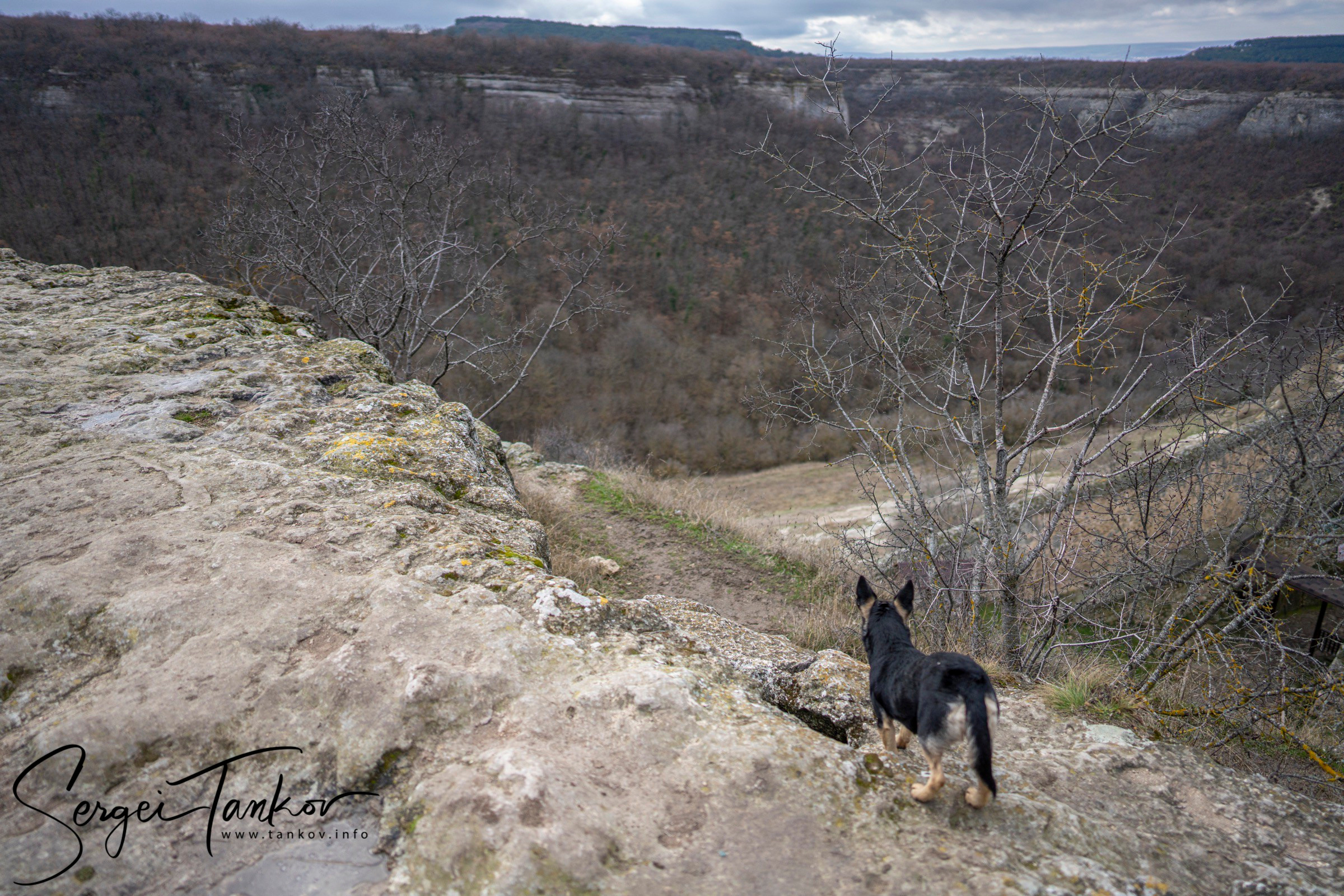 Крым (январь 2020). Фотограф Сергей Танков