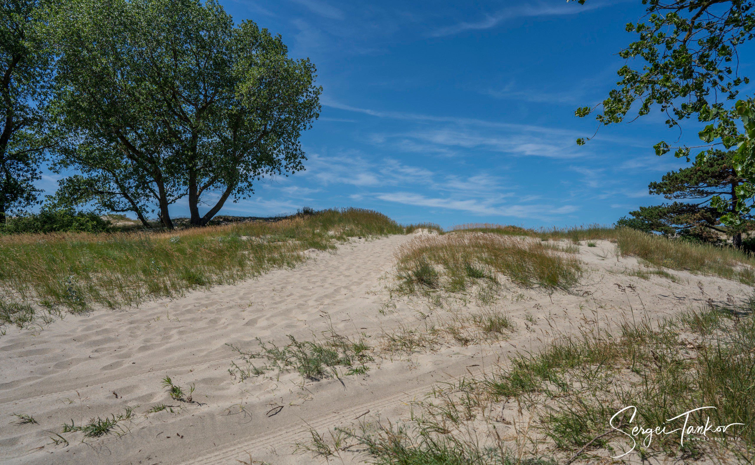 Калининград (июнь 2019). Фотограф Сергей Танков