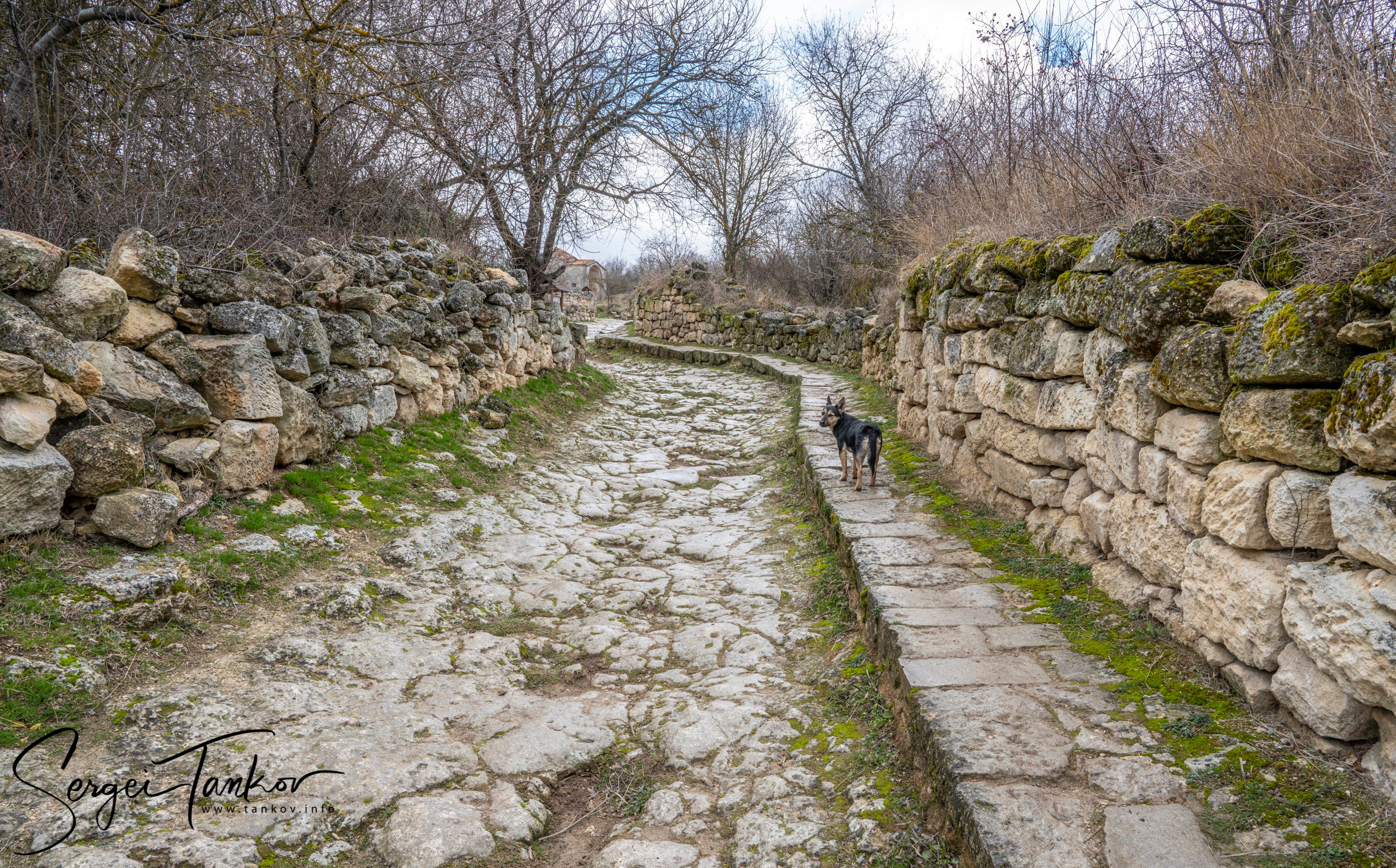 Крым (январь 2020). Фотограф Сергей Танков