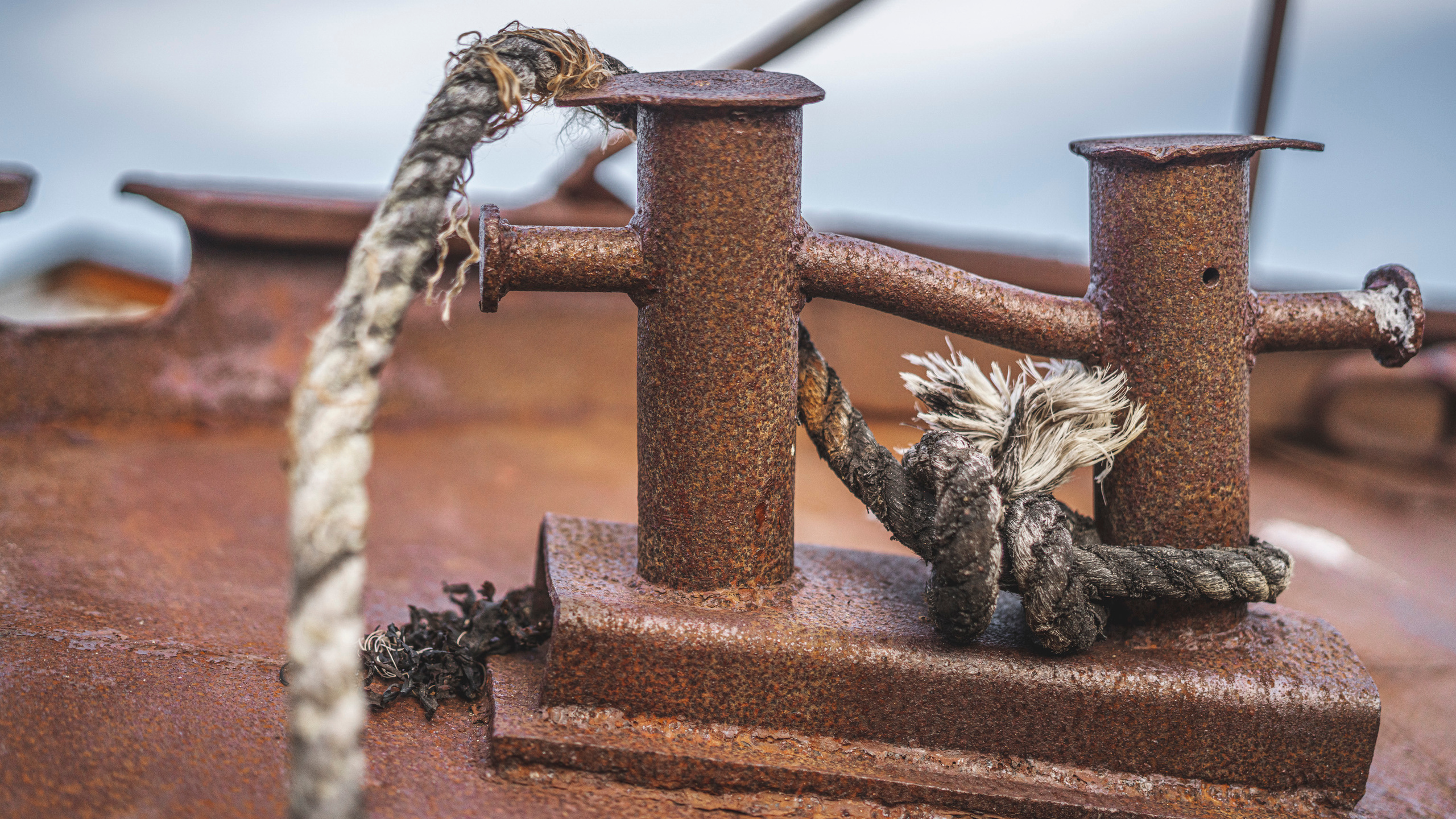 Териберка (октябрь 2020). Фотограф Сергей Танков