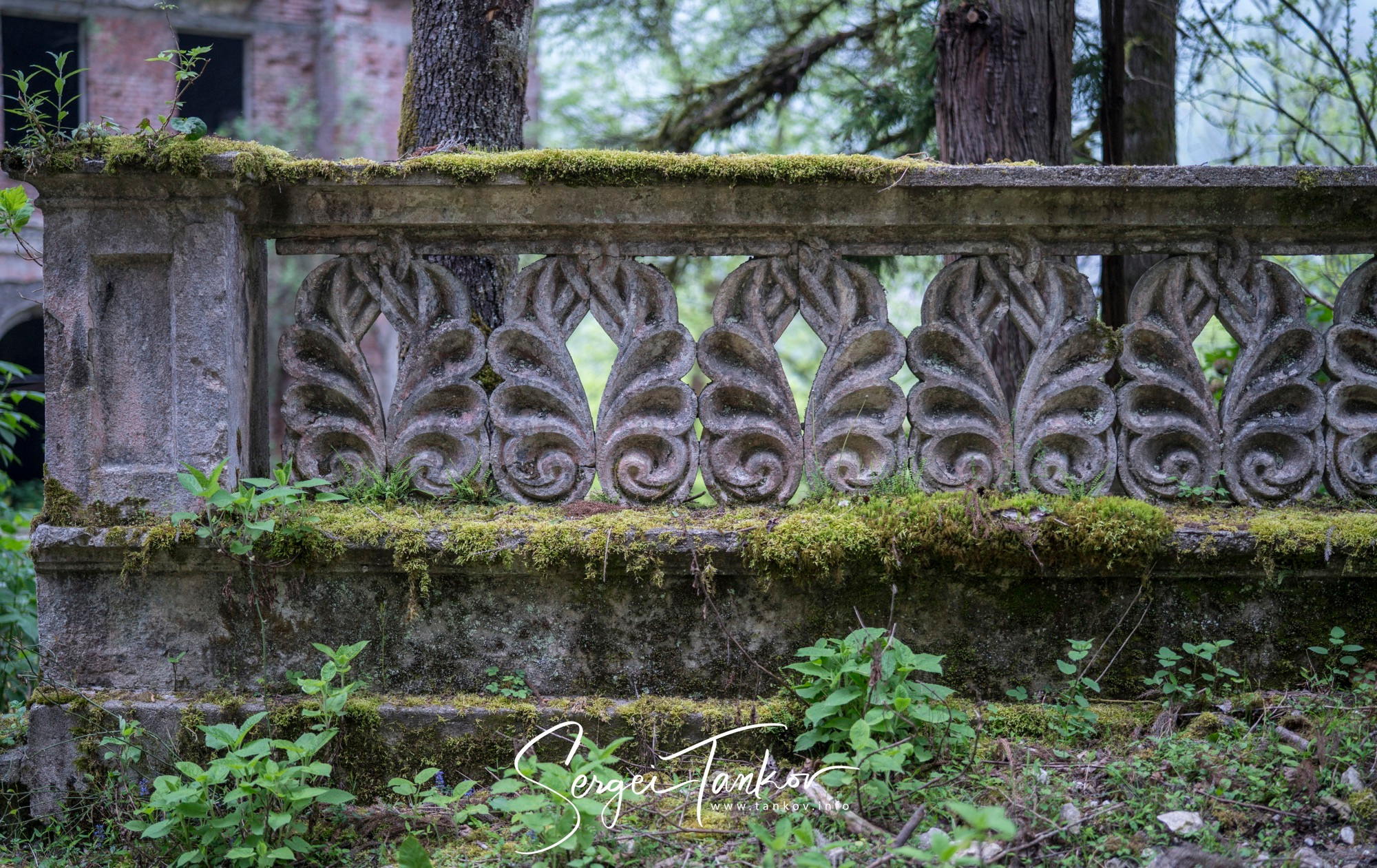 Абхазия (май 2019). Фотограф Сергей Танков