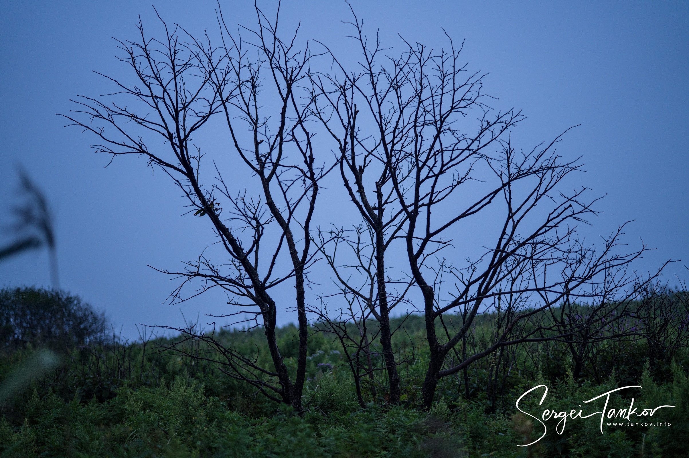 Владивосток (сентябрь 2019). Фотограф Сергей Танков