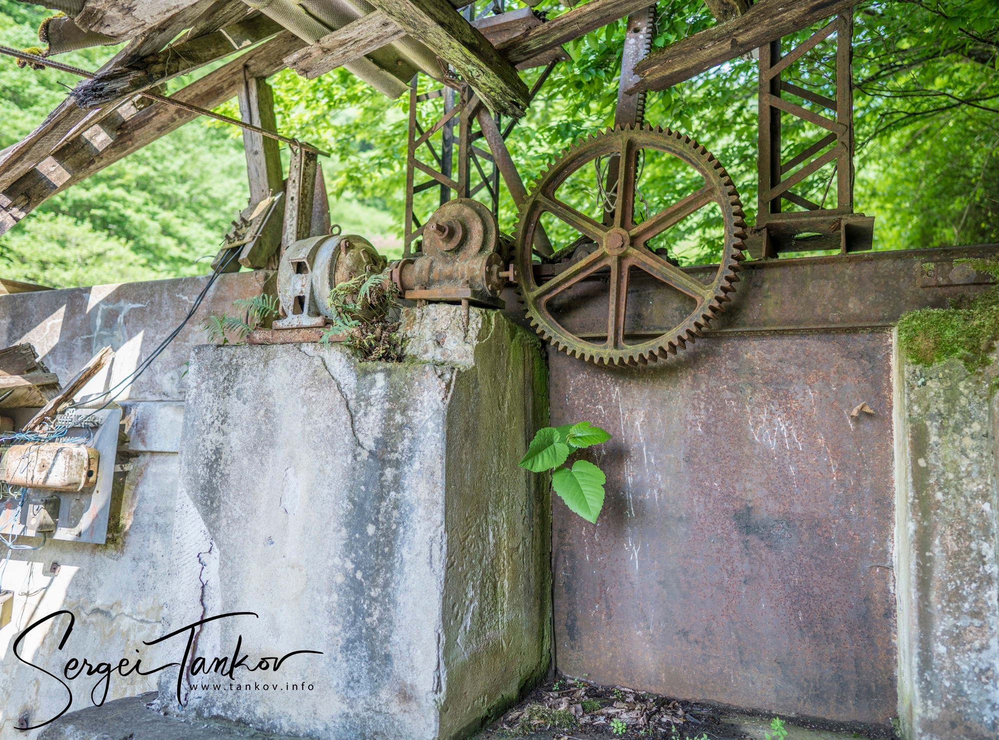 Абхазия (май 2019). Фотограф Сергей Танков