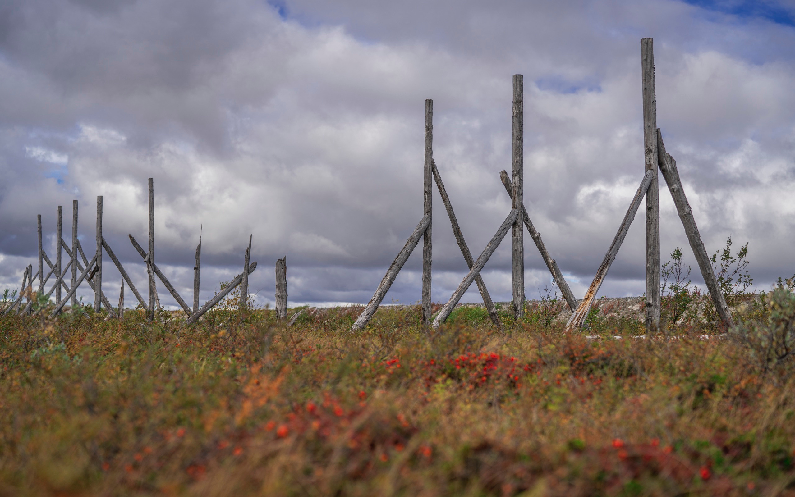 Териберка (октябрь 2020). Фотограф Сергей Танков