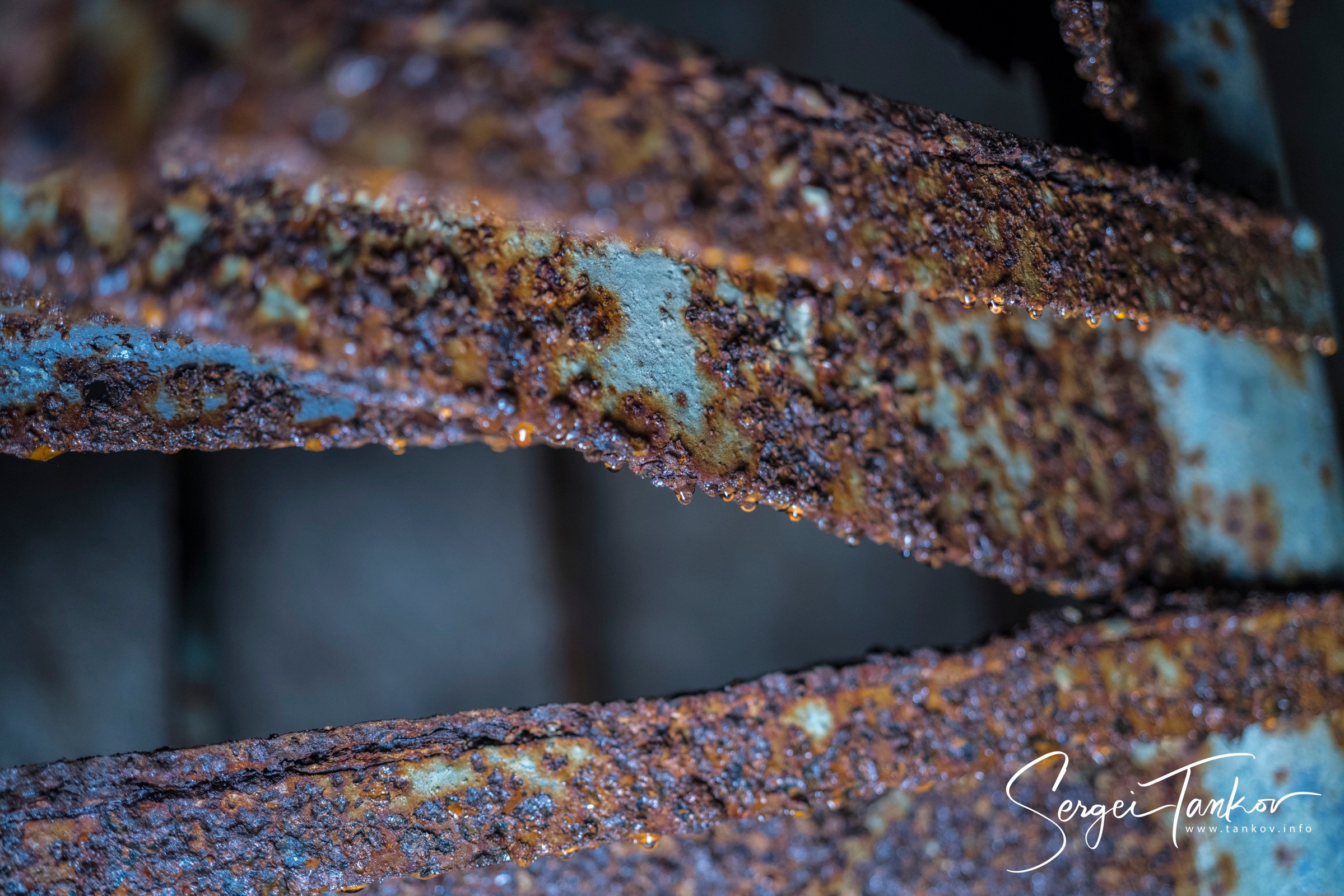 Владивосток (сентябрь 2019). Фотограф Сергей Танков