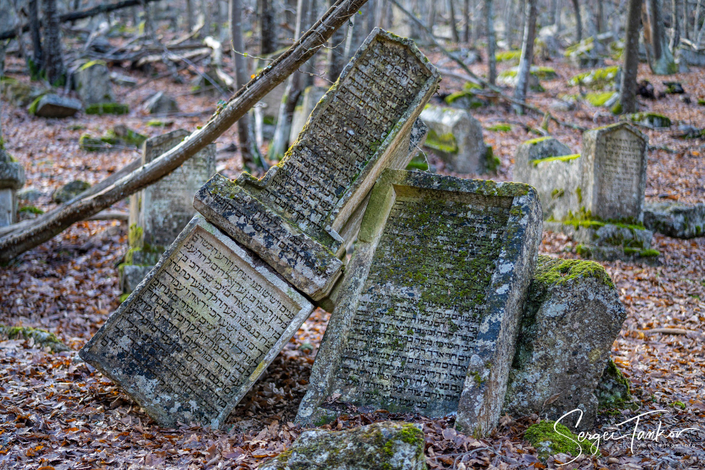 Крым (январь 2020). Фотограф Сергей Танков