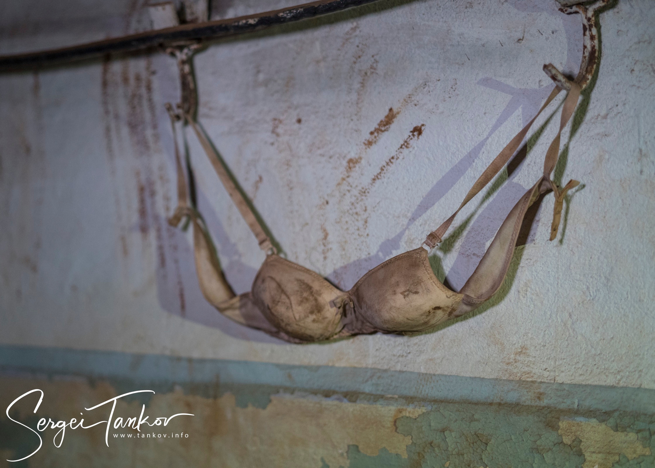 Владивосток (сентябрь 2019). Фотограф Сергей Танков