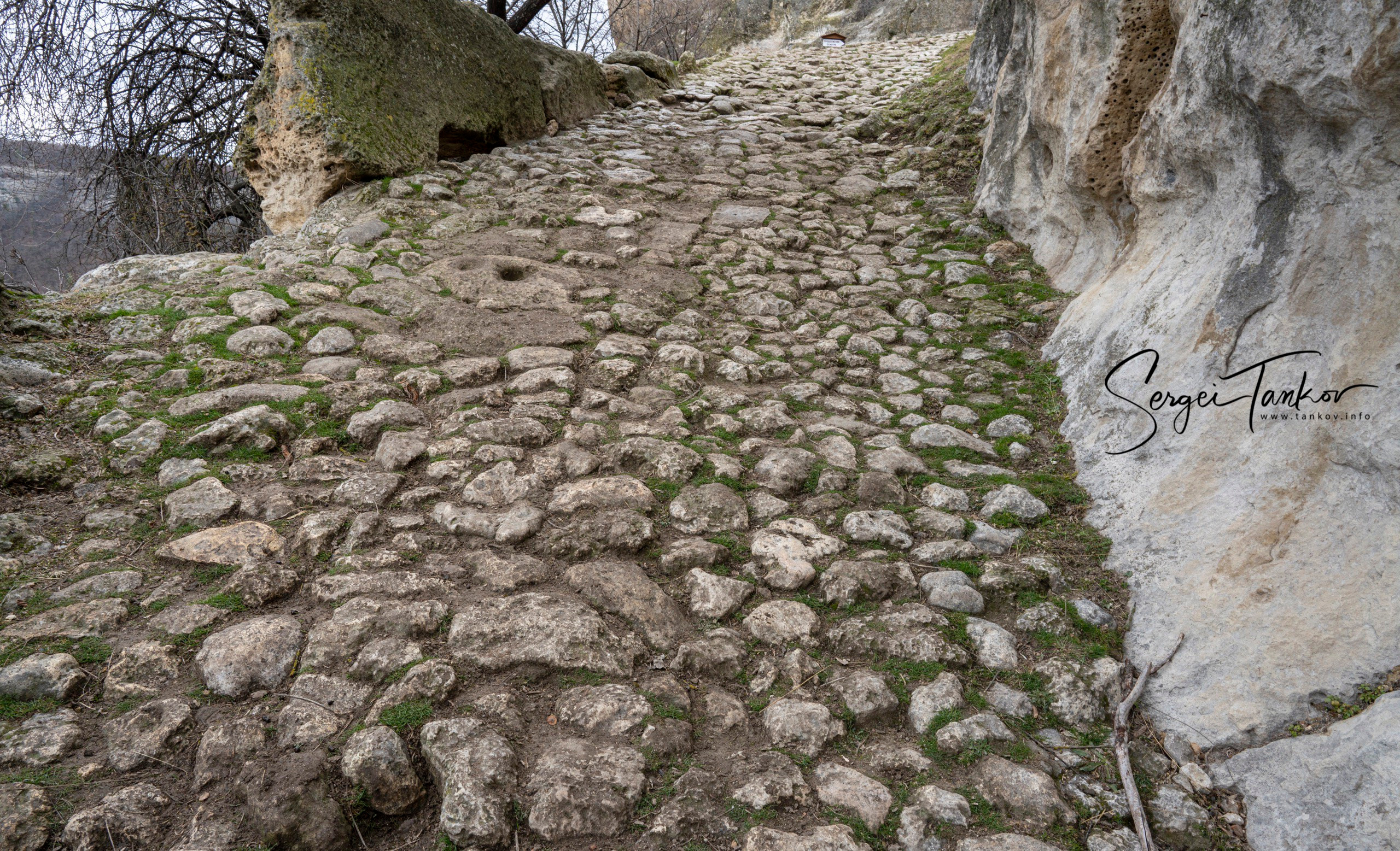 Крым (январь 2020). Фотограф Сергей Танков