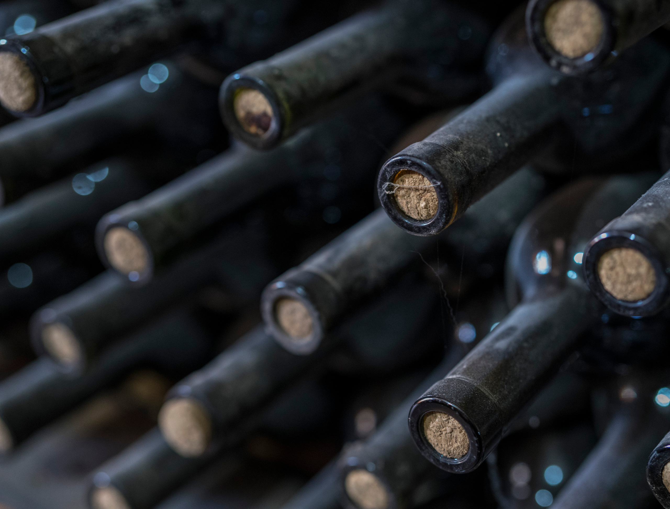 Армения (январь 2019). Фотограф Сергей Танков