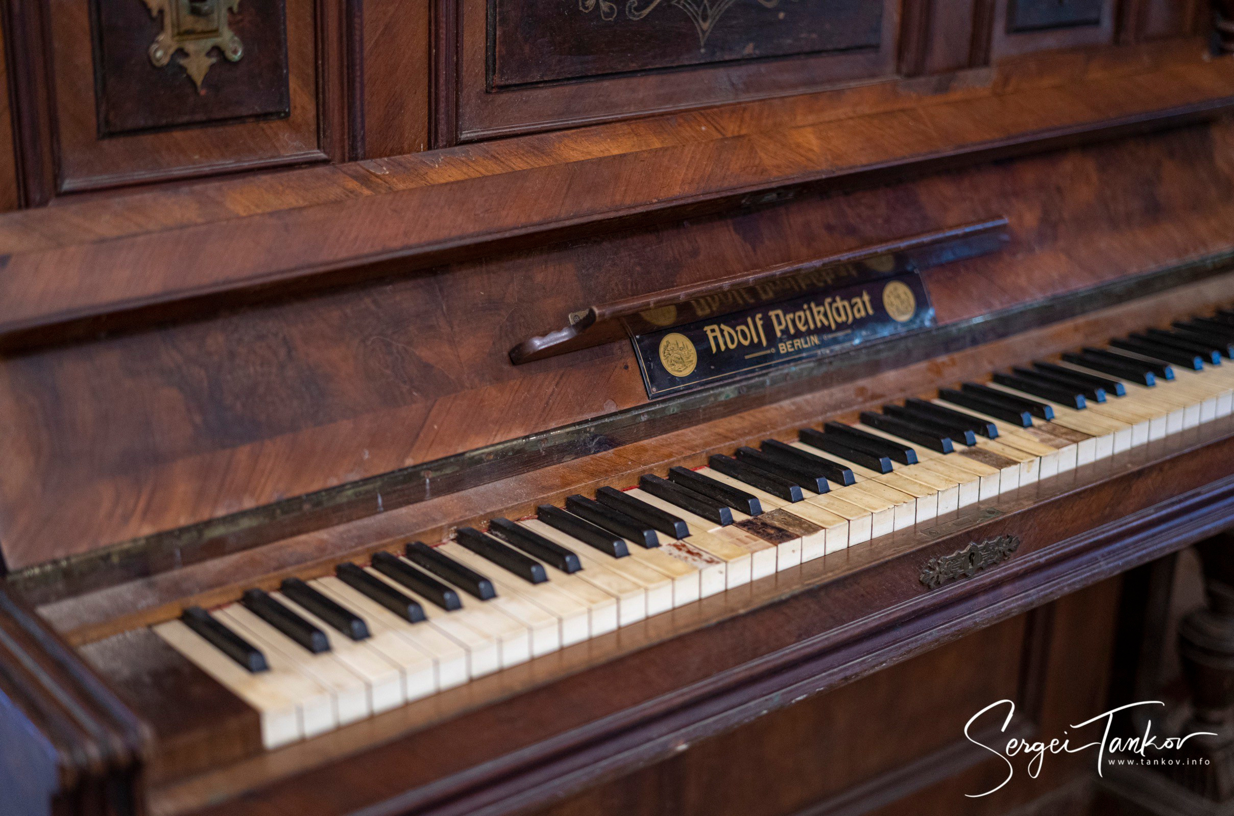 Калининград (июнь 2019). Фотограф Сергей Танков