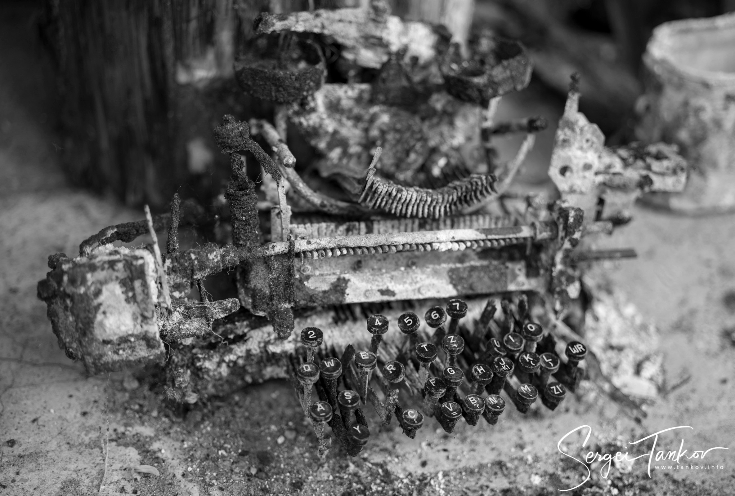 Калининград (июнь 2019). Фотограф Сергей Танков