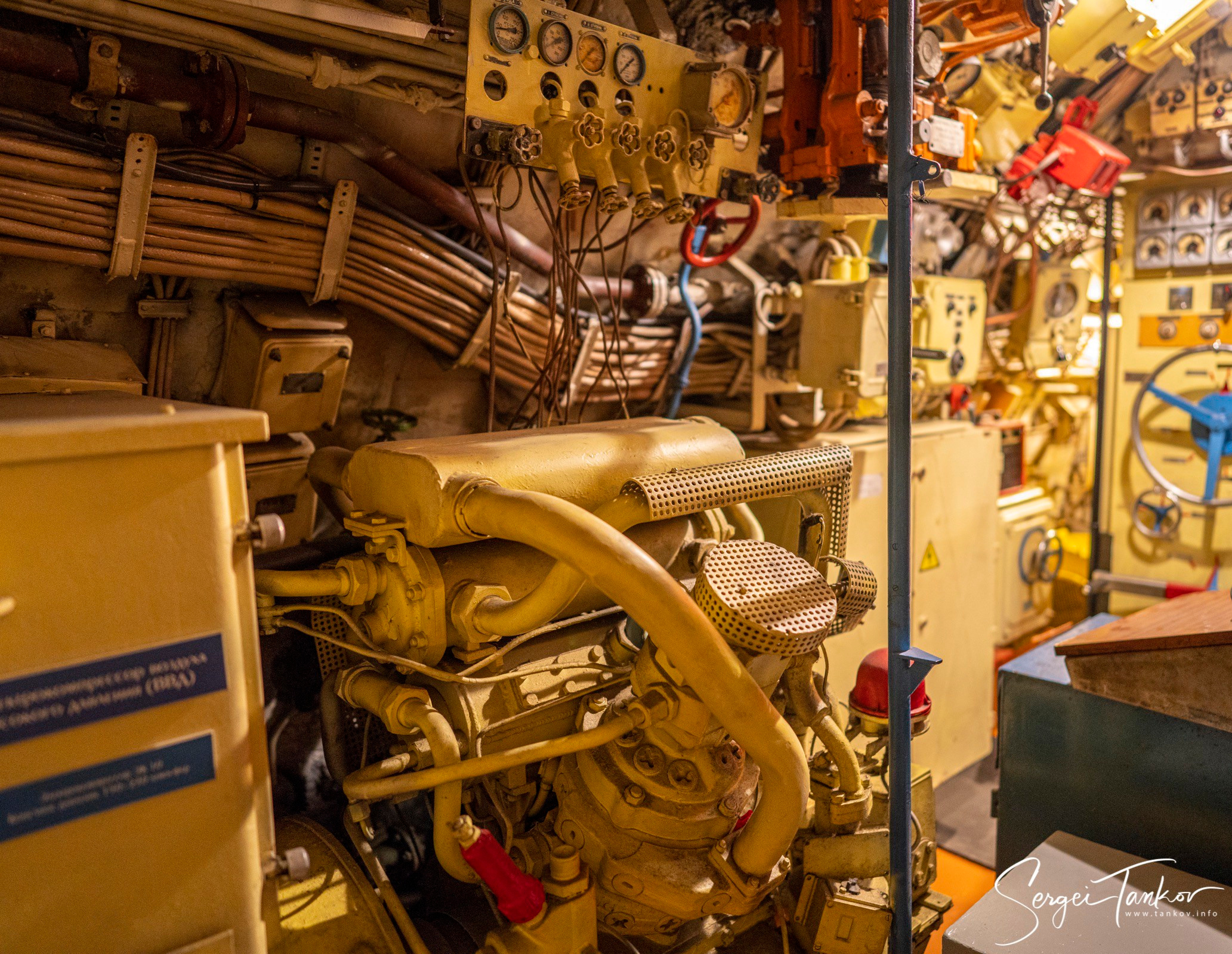 Калининград (июнь 2019). Фотограф Сергей Танков