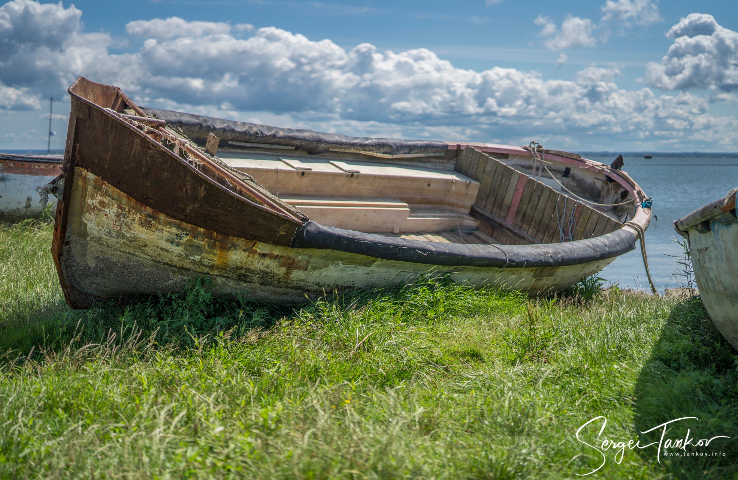 Калининград (июнь 2019). Фотограф Сергей Танков