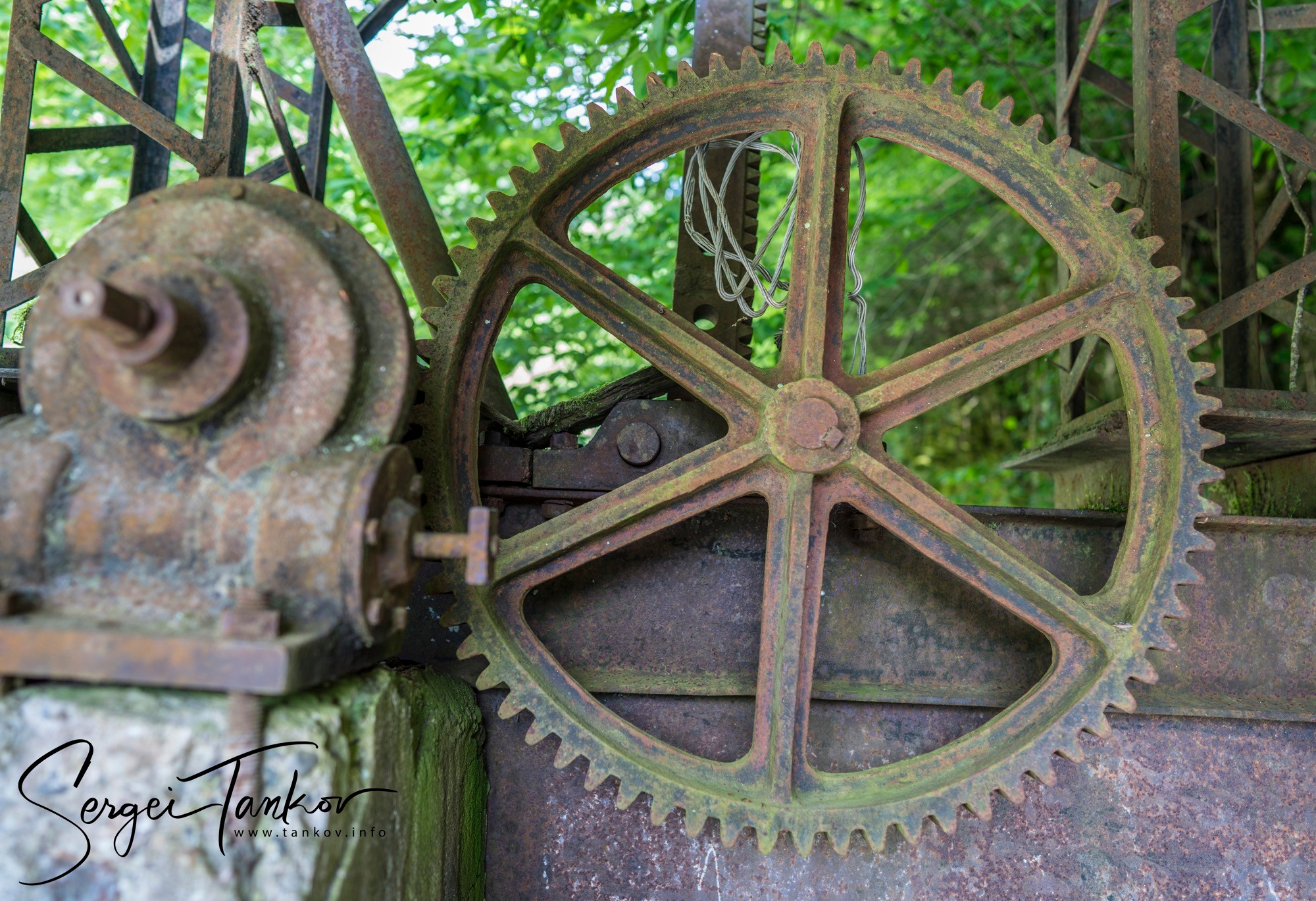 Абхазия (май 2019). Фотограф Сергей Танков