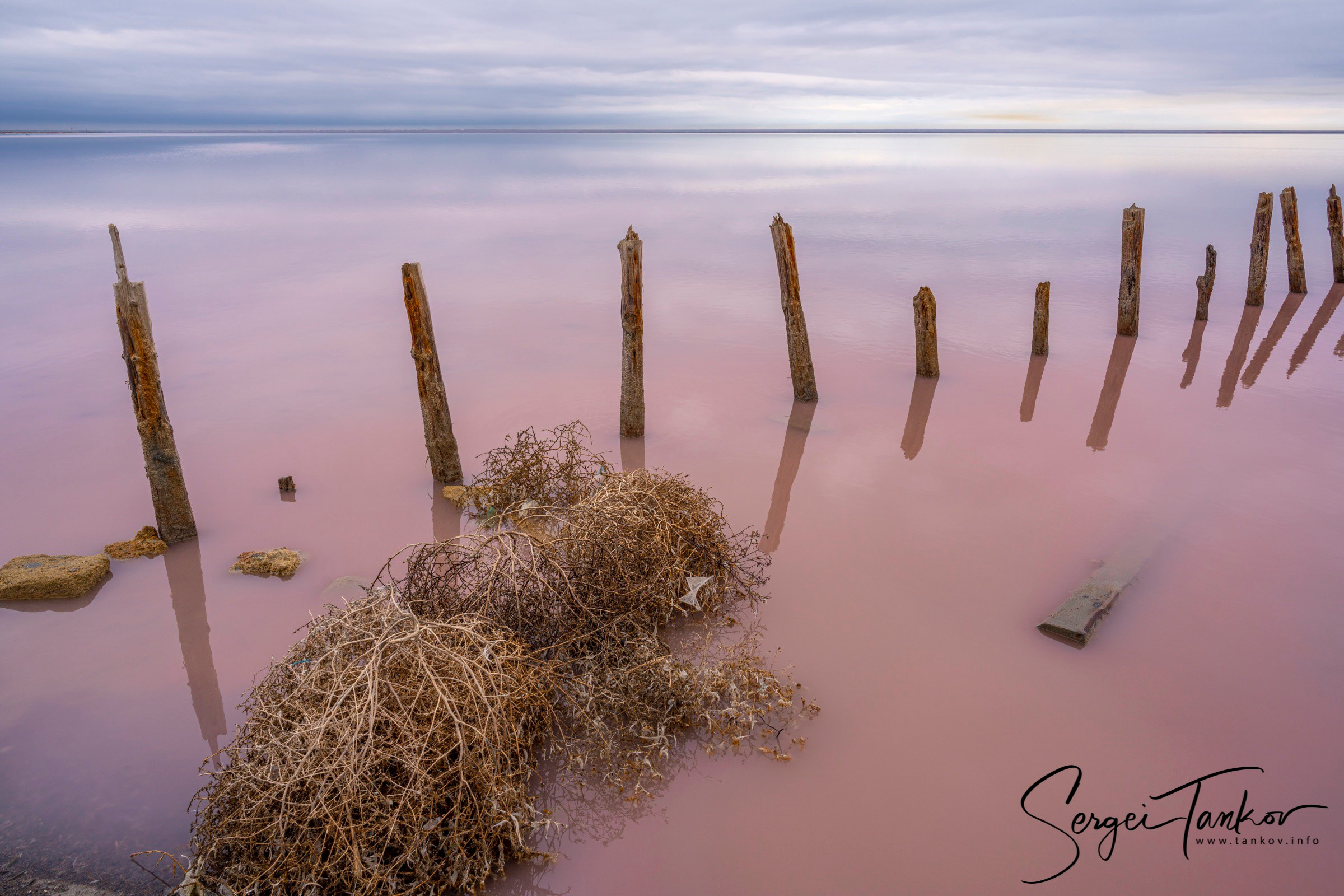 Крым (январь 2020). Фотограф Сергей Танков