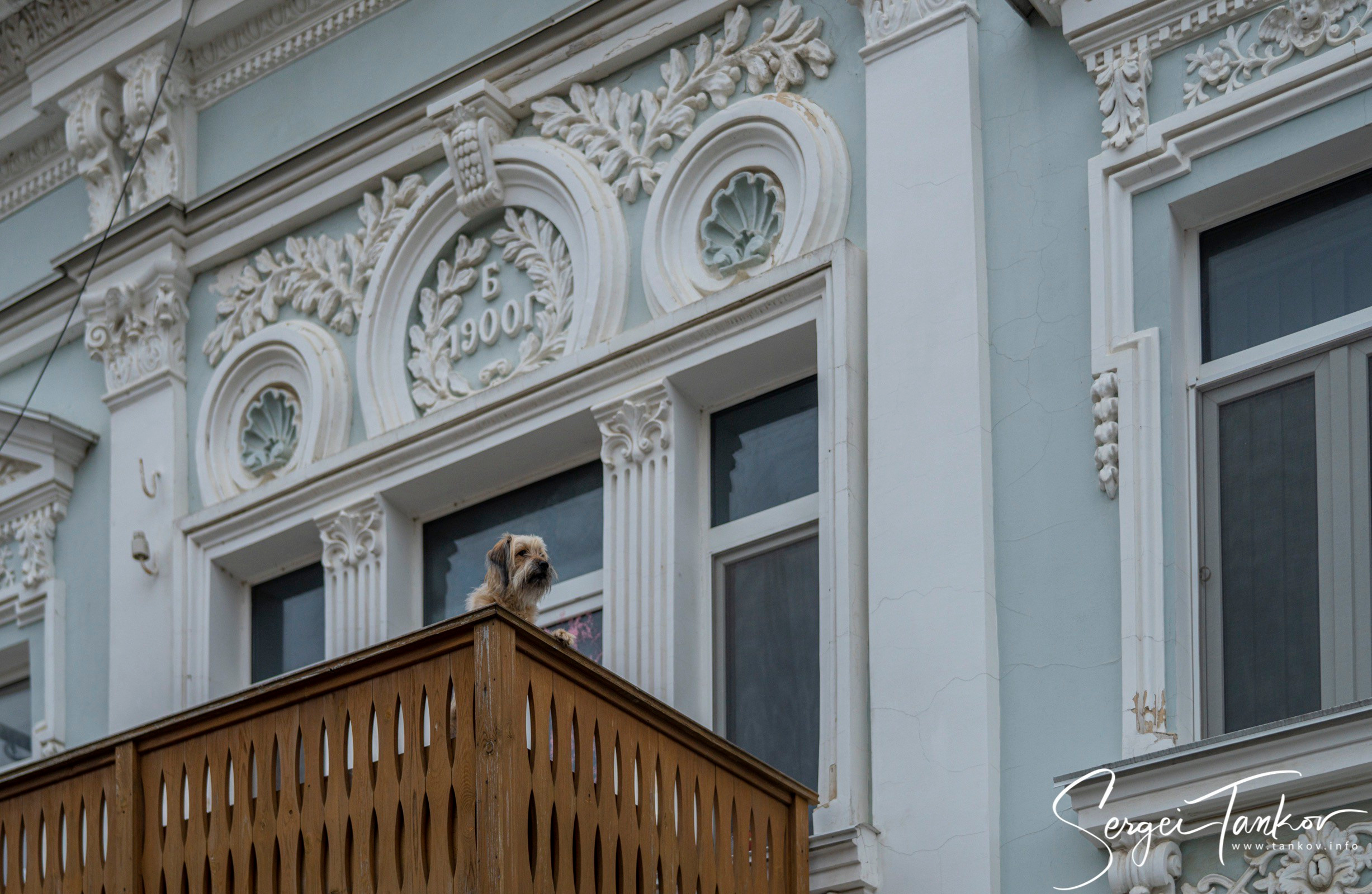 Крым (январь 2020). Фотограф Сергей Танков