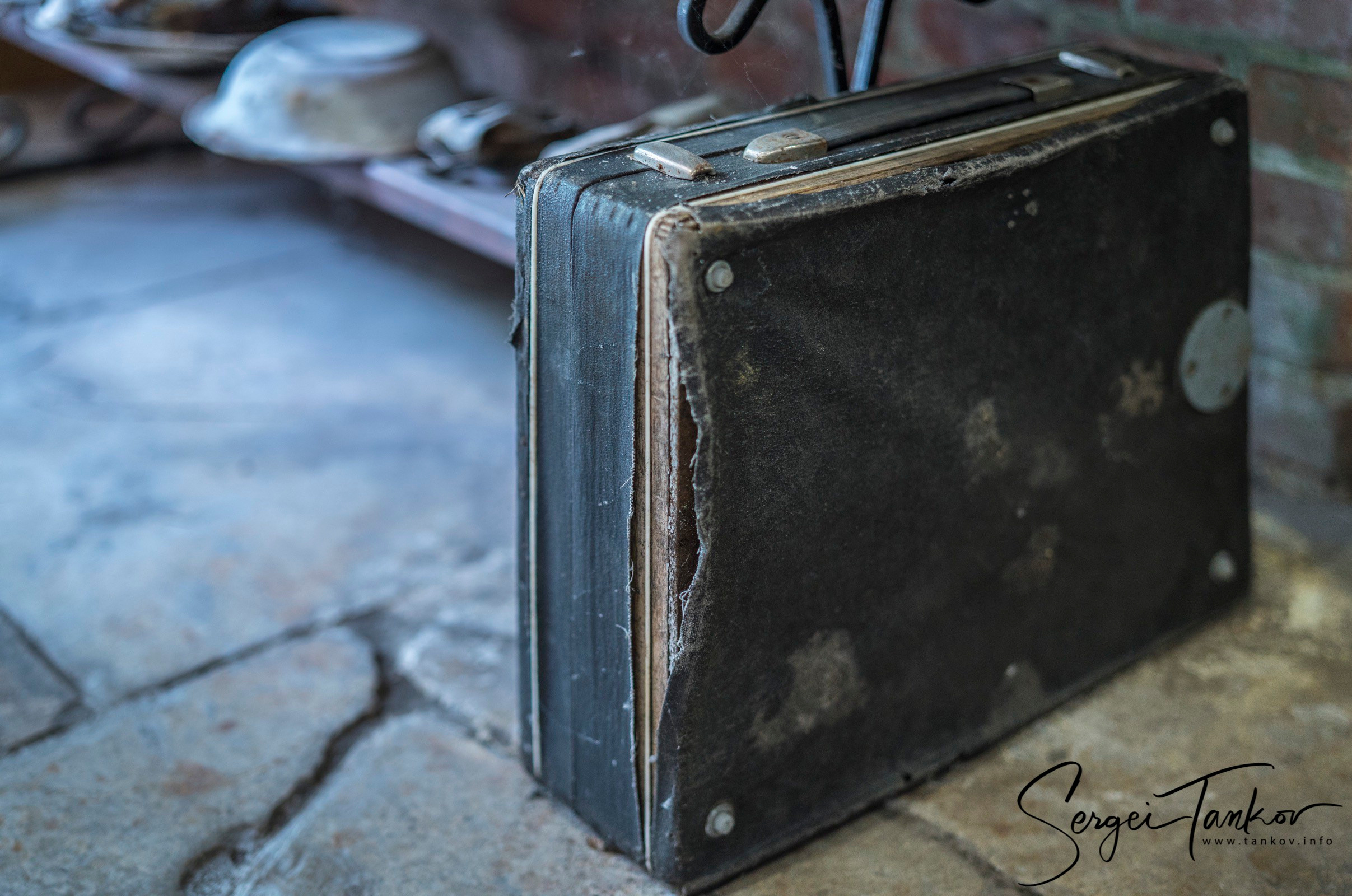 Калининград (июнь 2019). Фотограф Сергей Танков