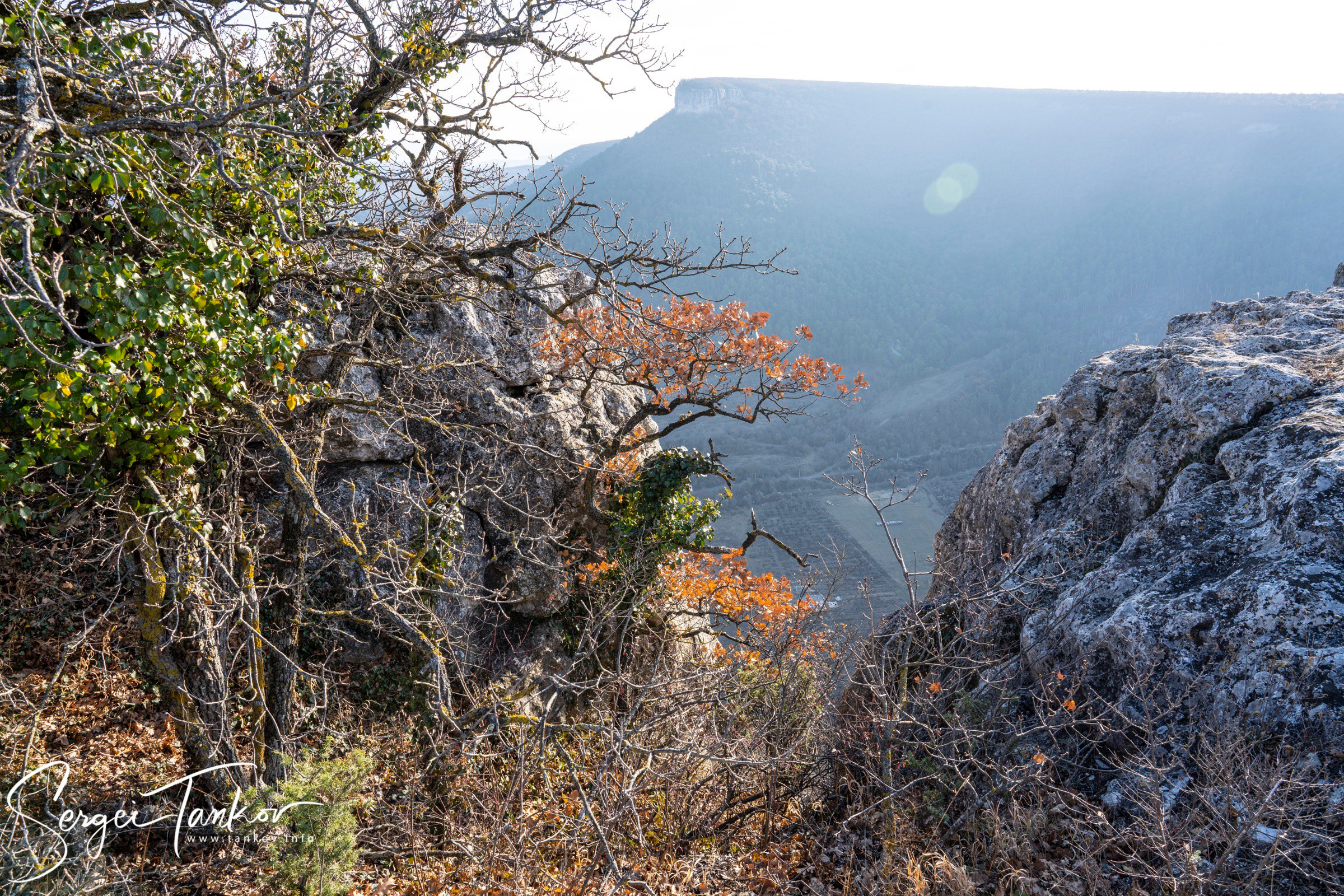 Крым (январь 2020). Фотограф Сергей Танков