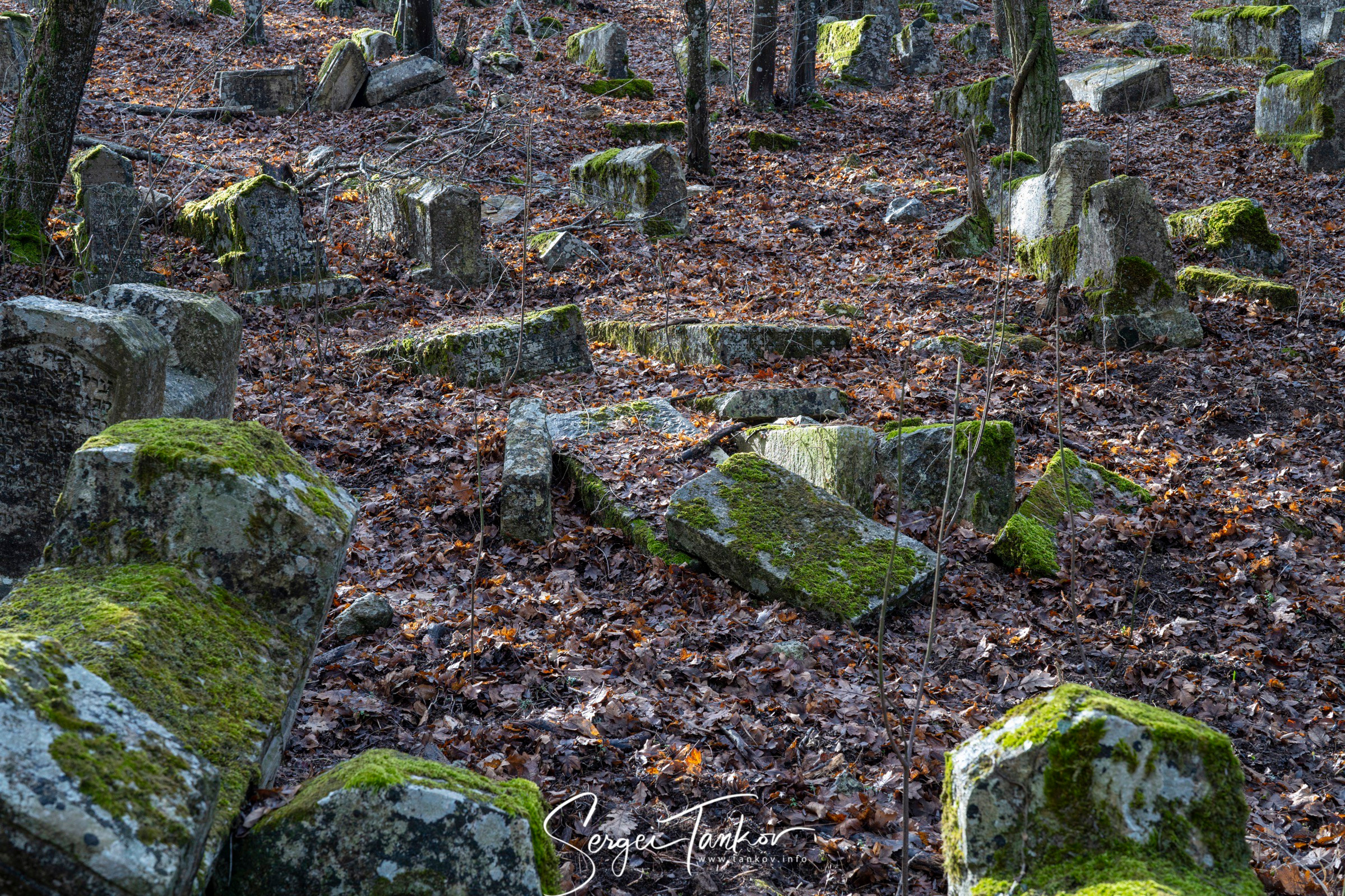 Крым (январь 2020). Фотограф Сергей Танков