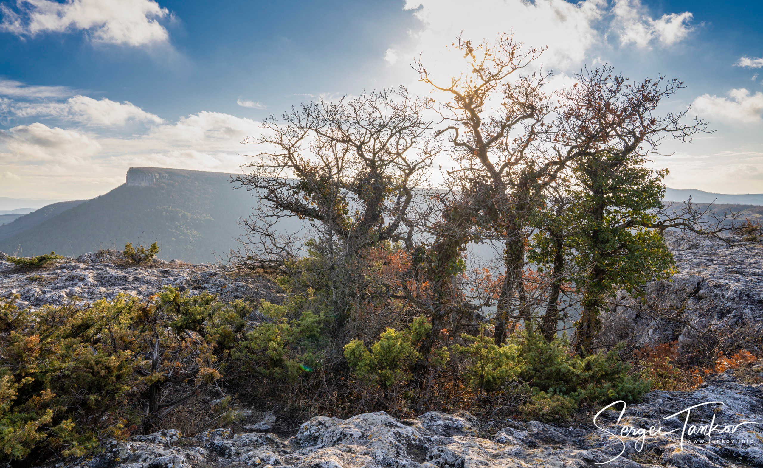 Крым (январь 2020). Фотограф Сергей Танков