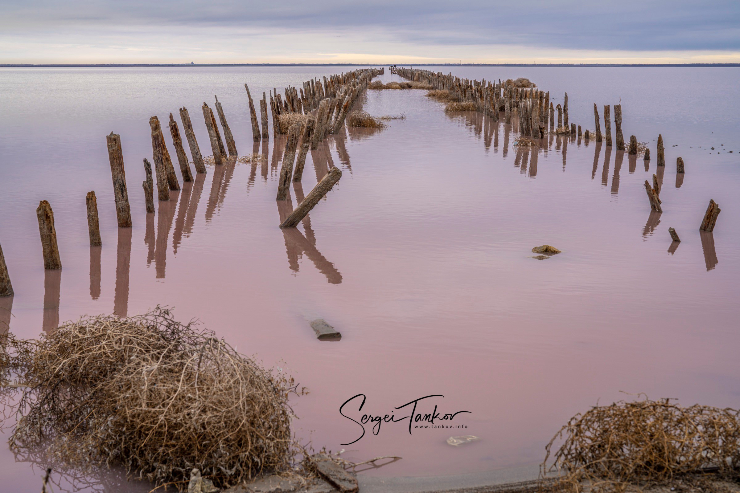 Крым (январь 2020). Фотограф Сергей Танков