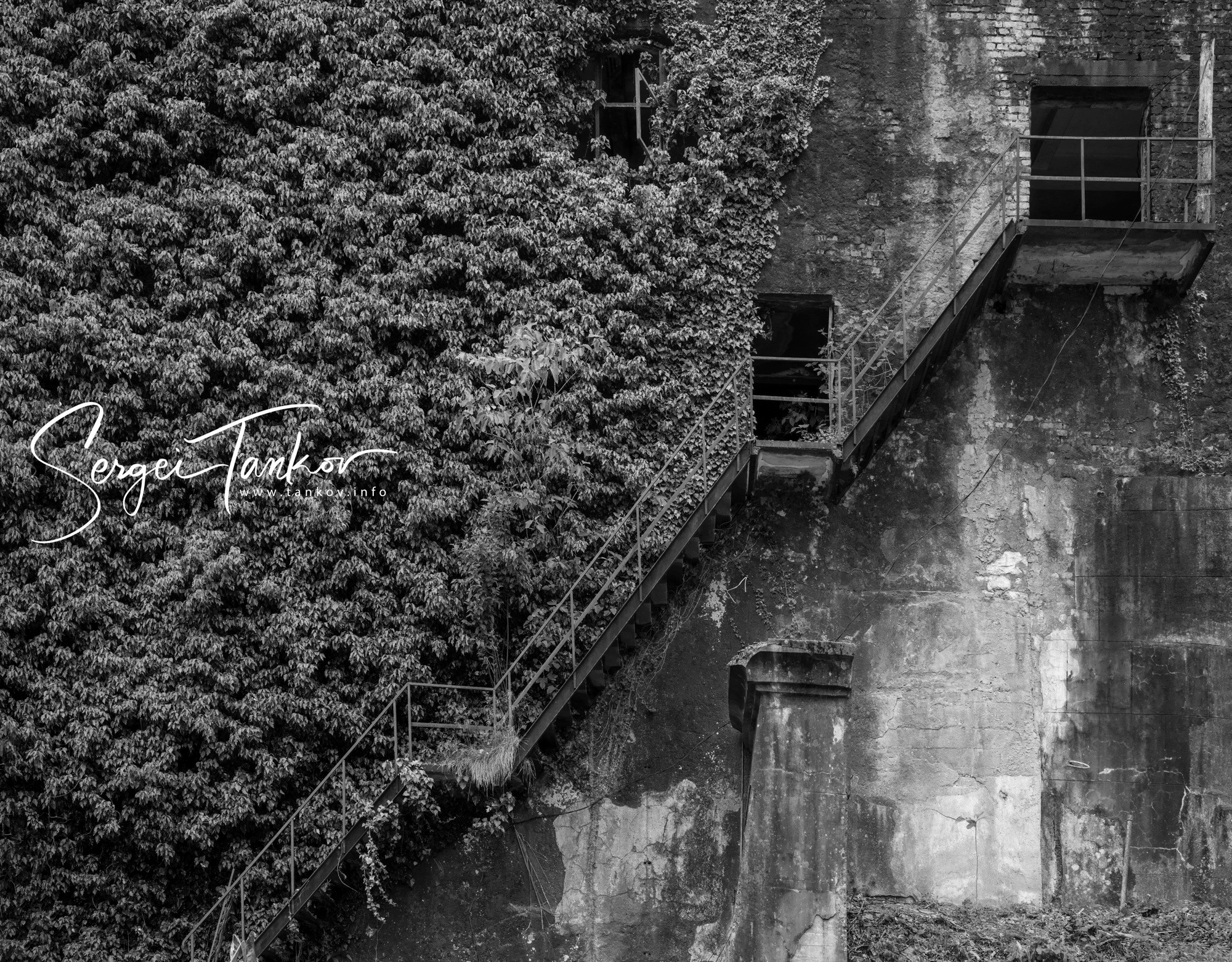 Абхазия (май 2019). Фотограф Сергей Танков