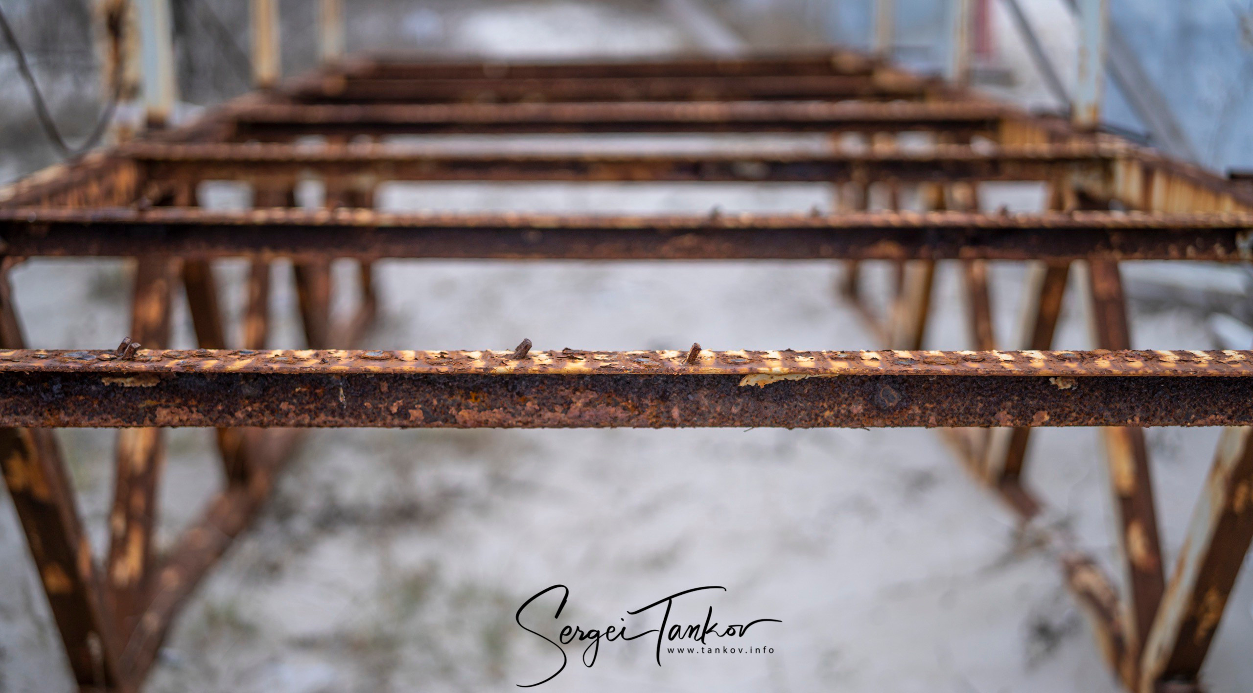 Крым (январь 2020). Фотограф Сергей Танков