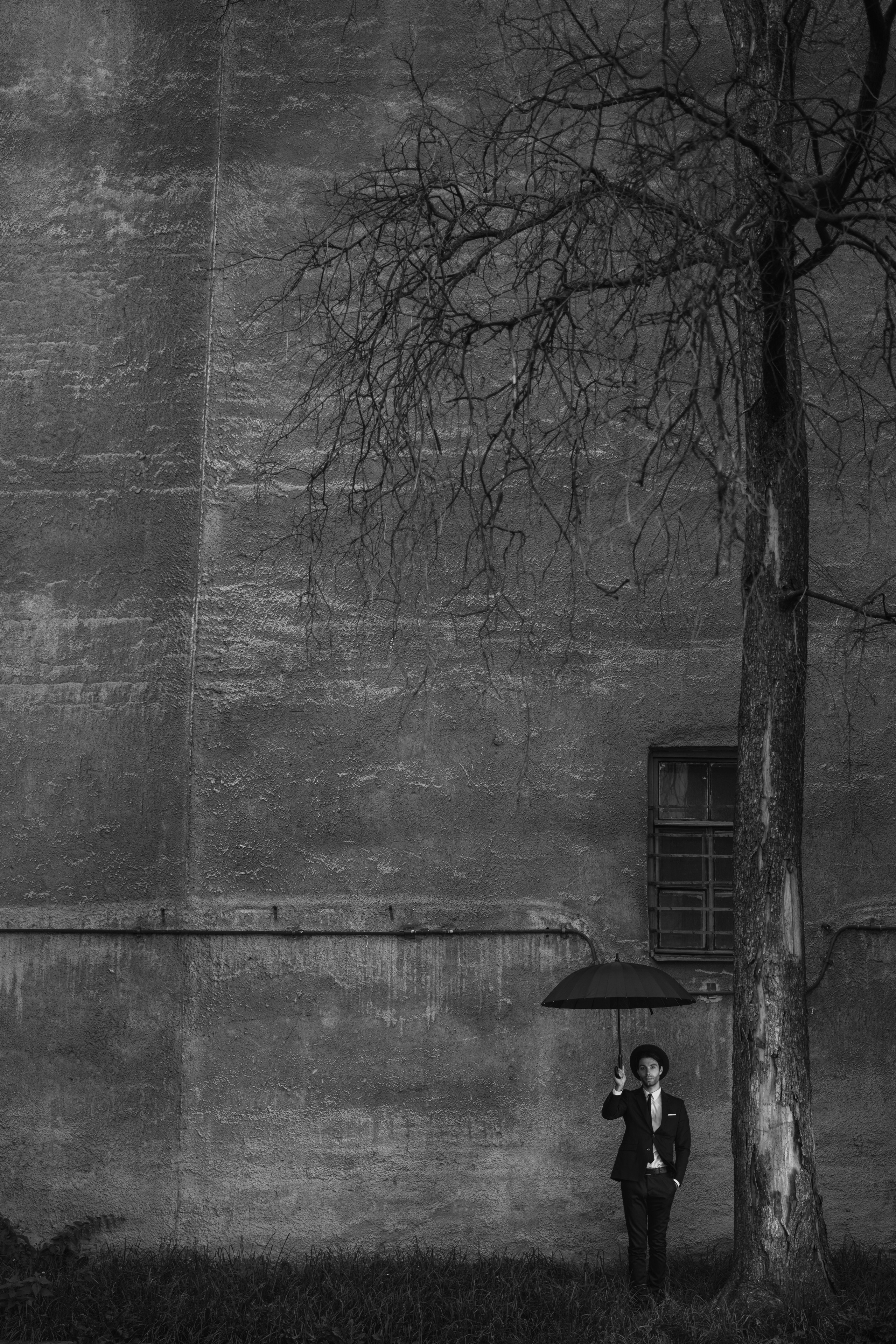 Hello, Rodney!. Фотограф Сергей Танков