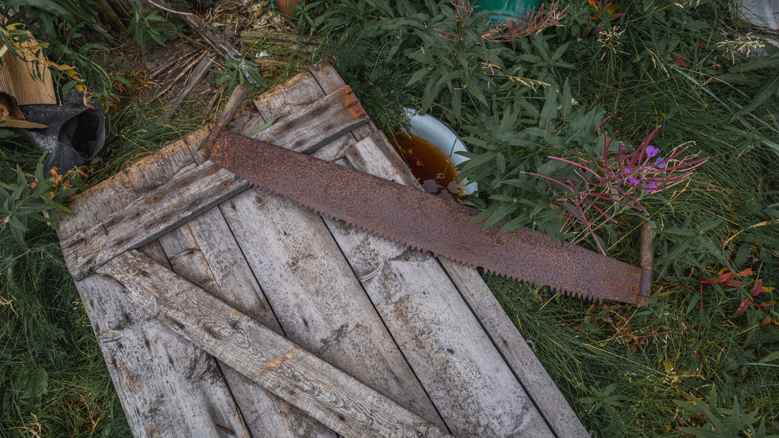 Териберка (октябрь 2020). Фотограф Сергей Танков