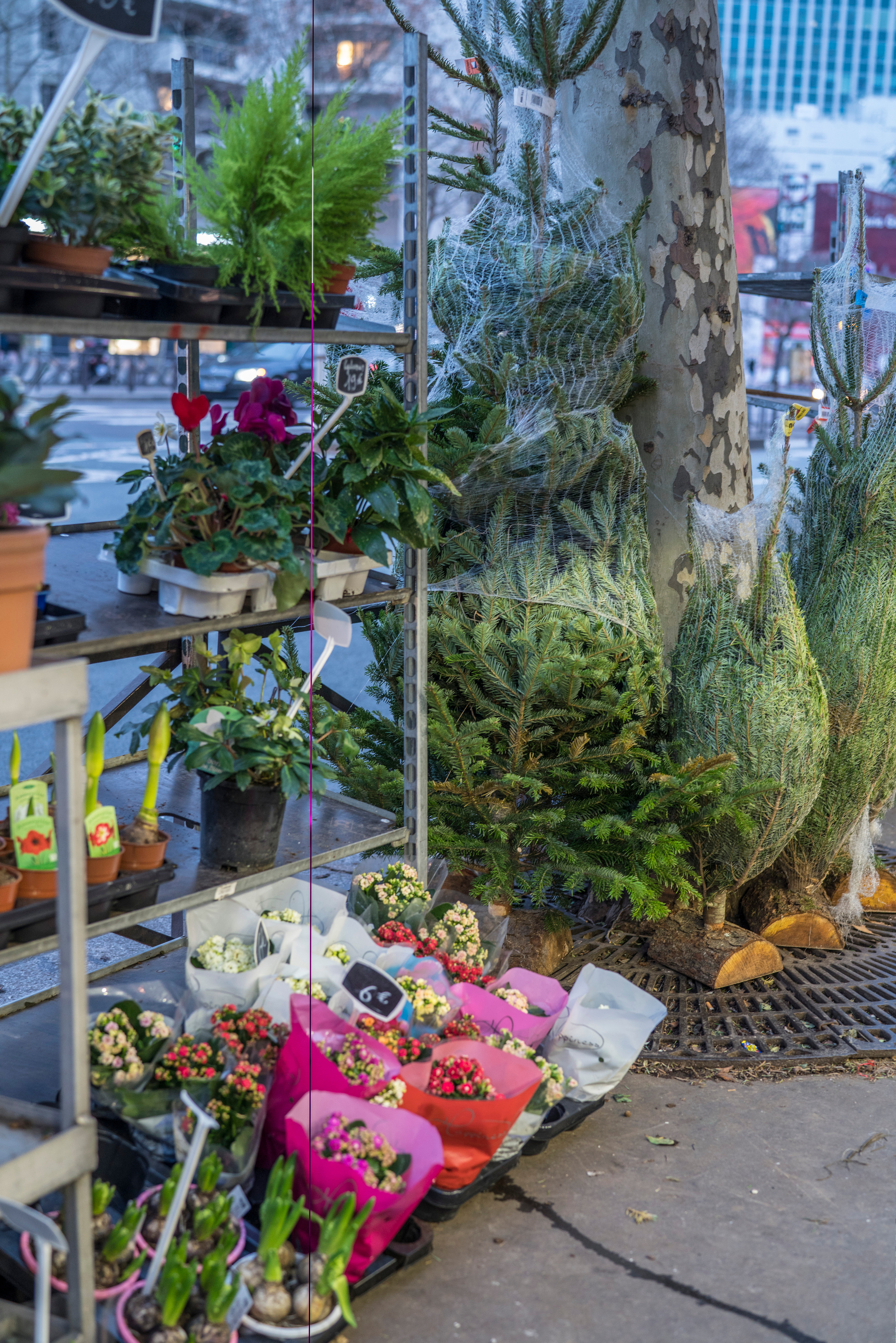 Париж (январь 2019). Фотограф Сергей Танков