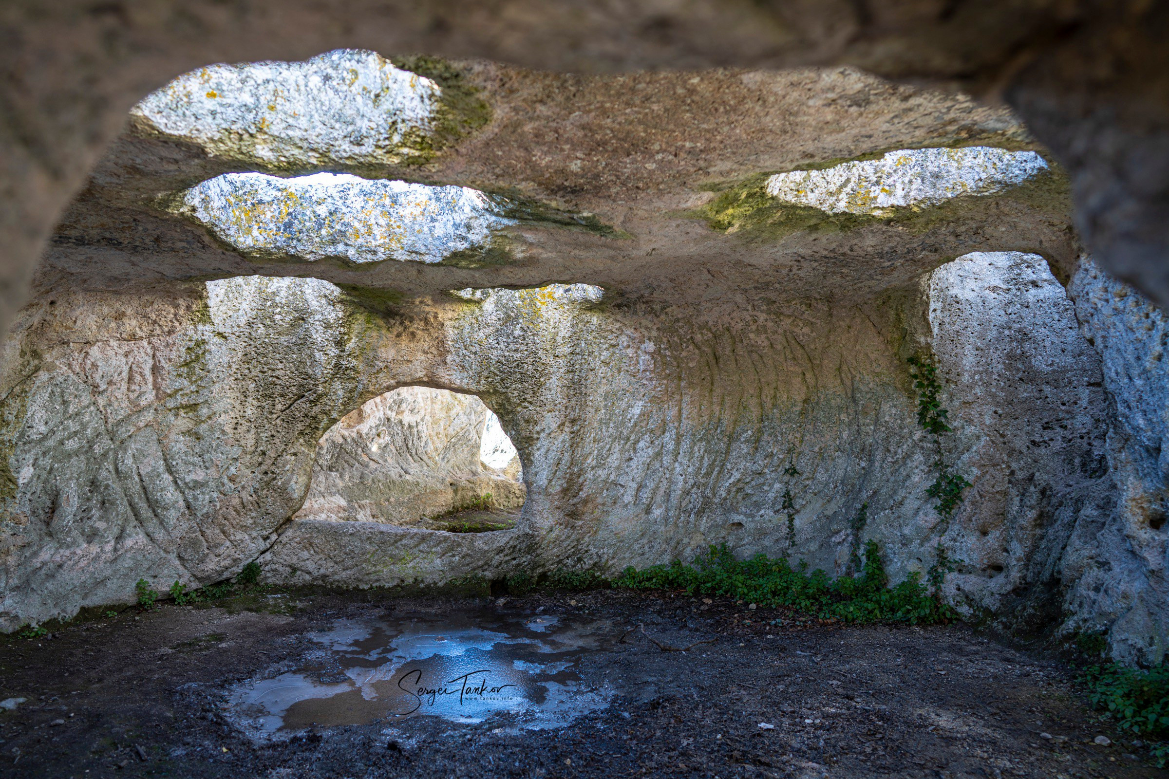Крым (январь 2020). Фотограф Сергей Танков