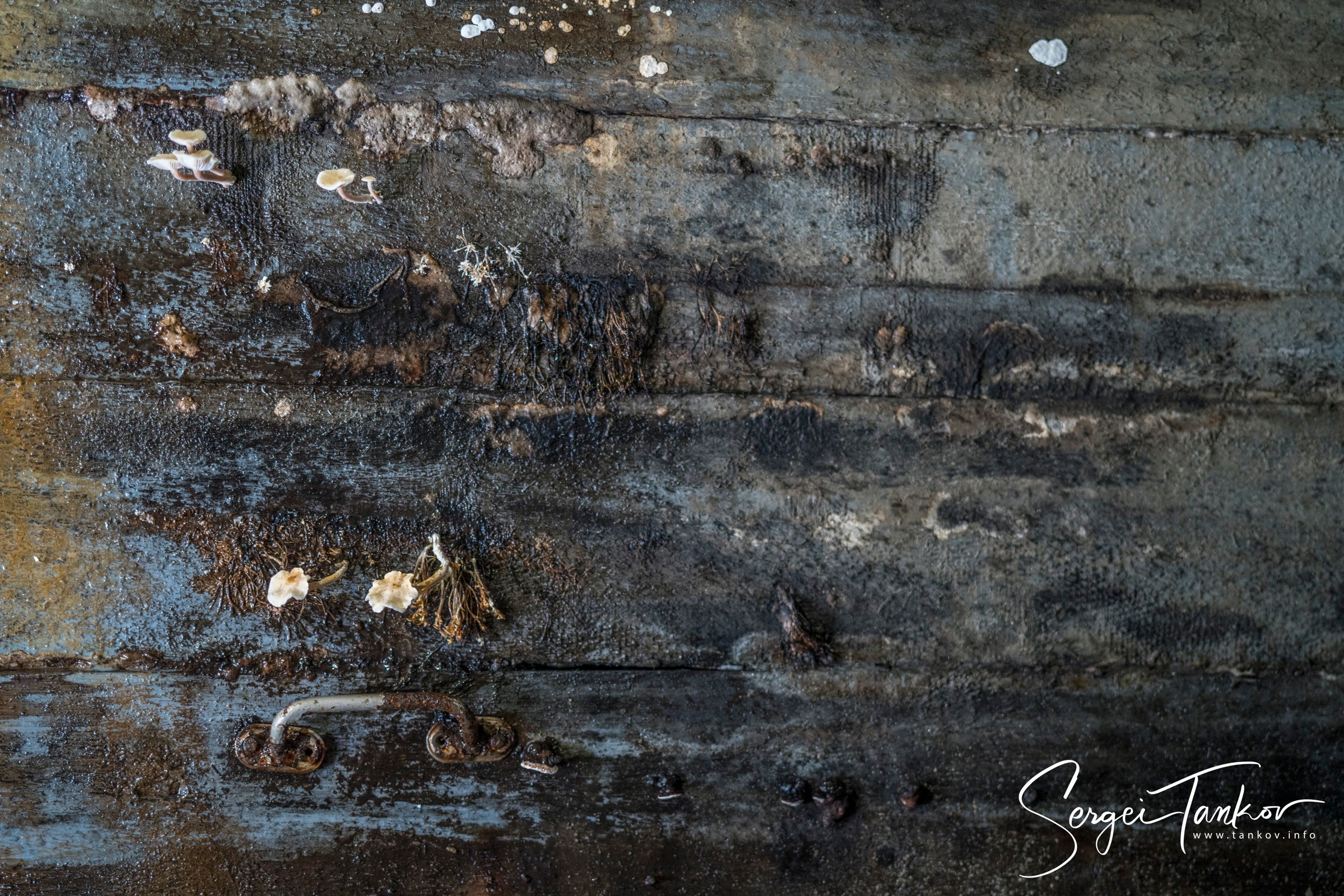 Владивосток (сентябрь 2019). Фотограф Сергей Танков