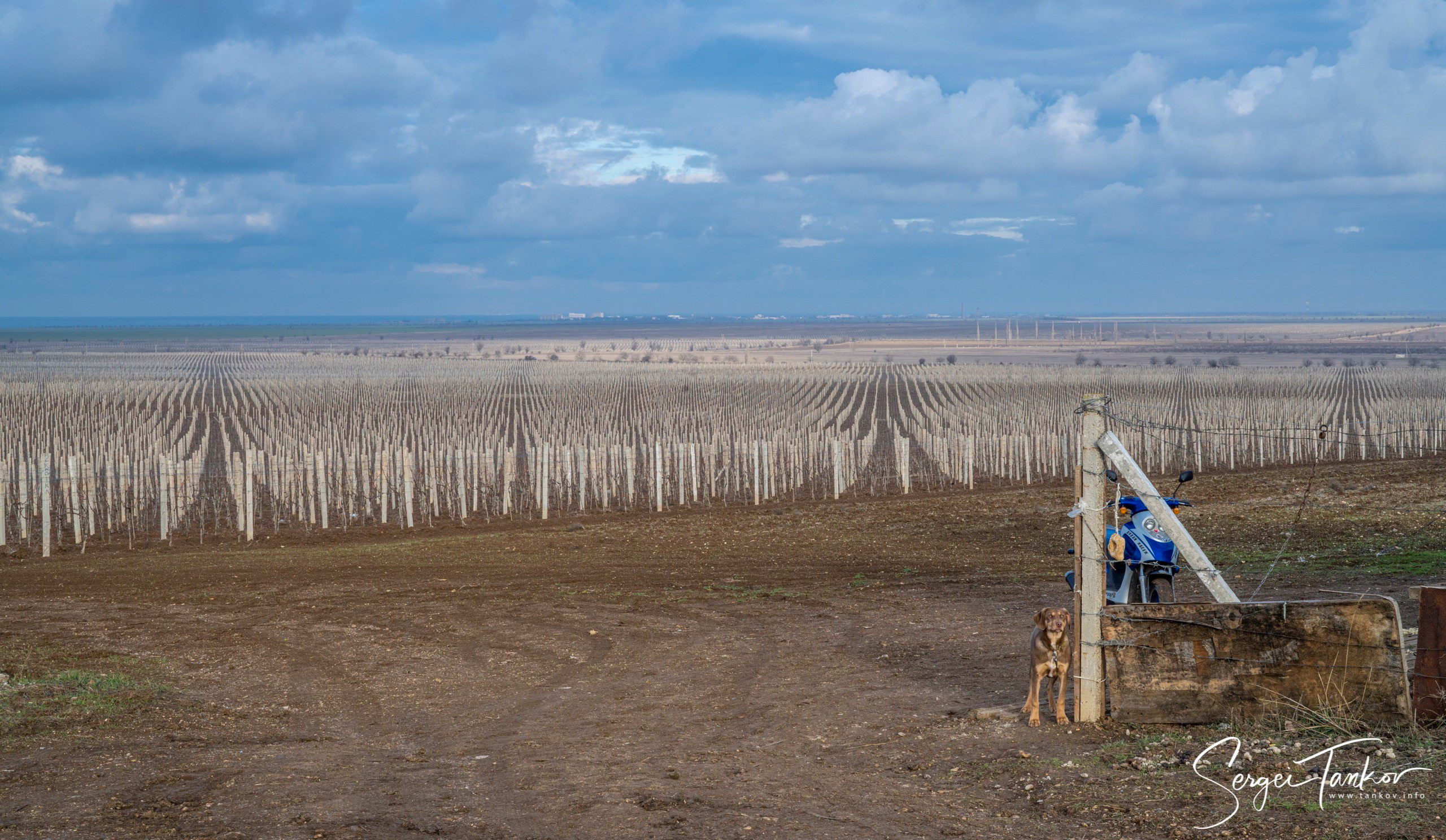 Крым (январь 2020). Фотограф Сергей Танков