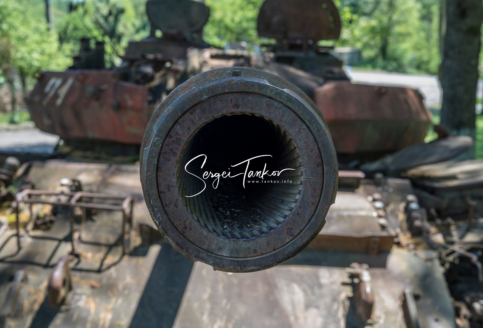 Абхазия (май 2019). Фотограф Сергей Танков