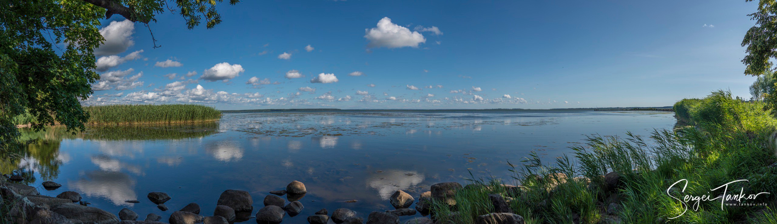 Калининград (июнь 2019). Фотограф Сергей Танков