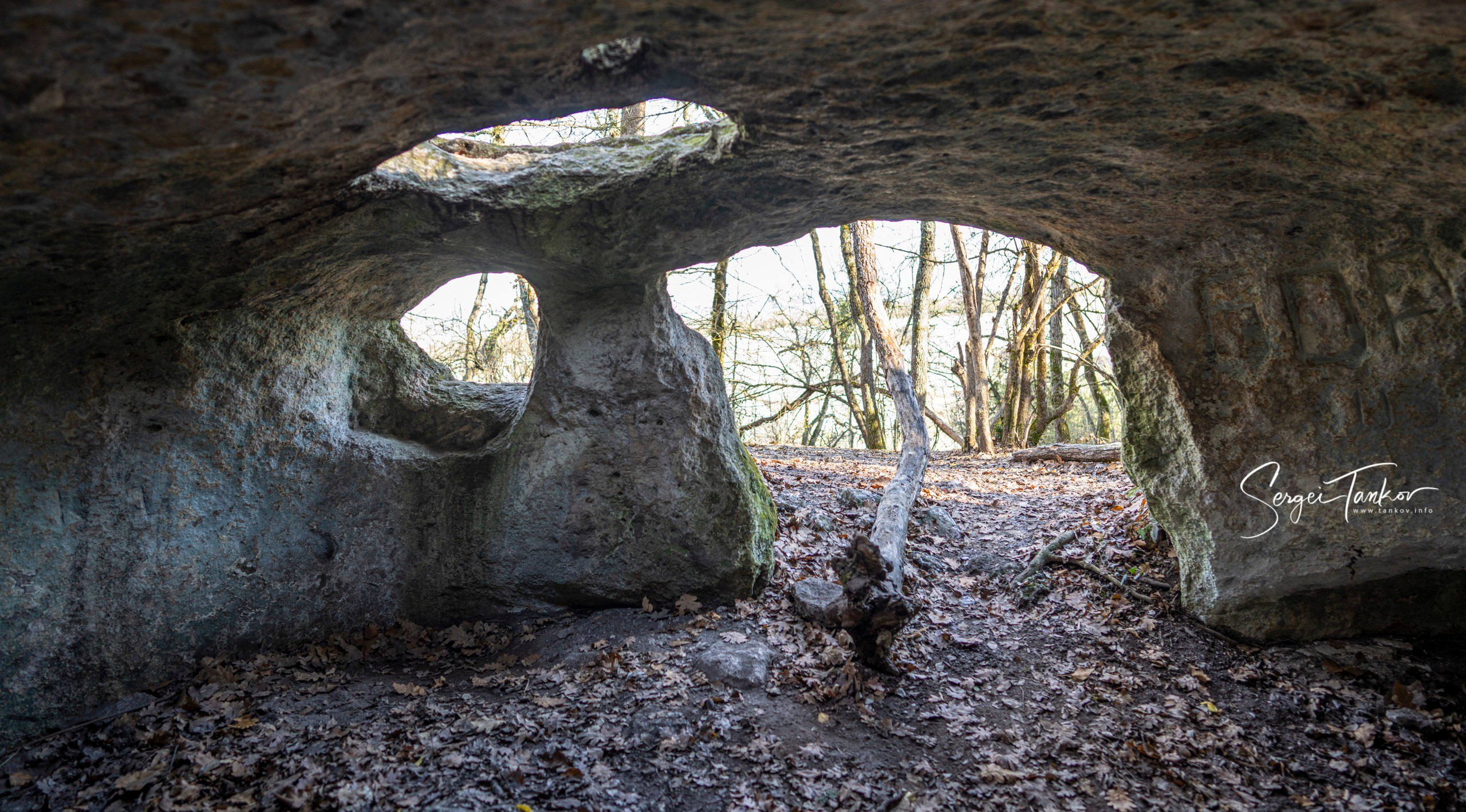 Крым (январь 2020). Фотограф Сергей Танков