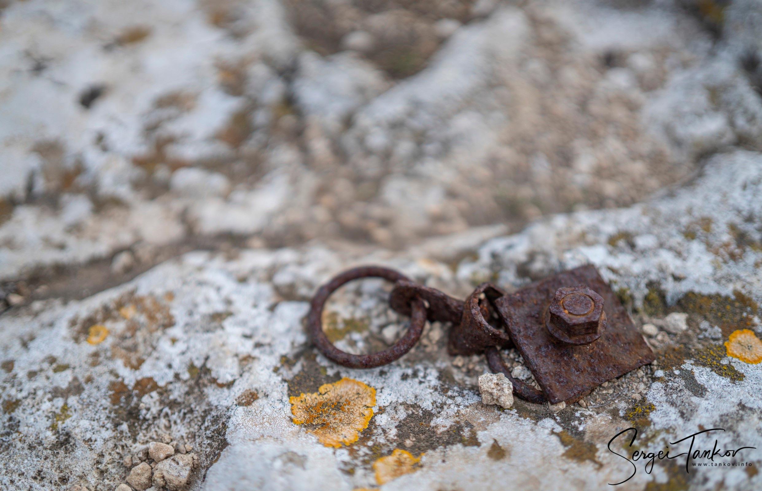 Крым (январь 2020). Фотограф Сергей Танков