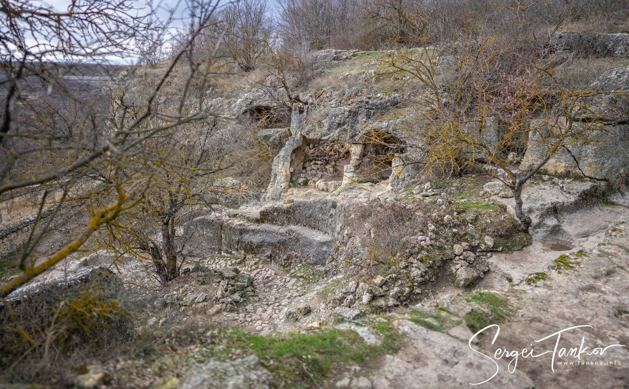 Крым (январь 2020). Фотограф Сергей Танков