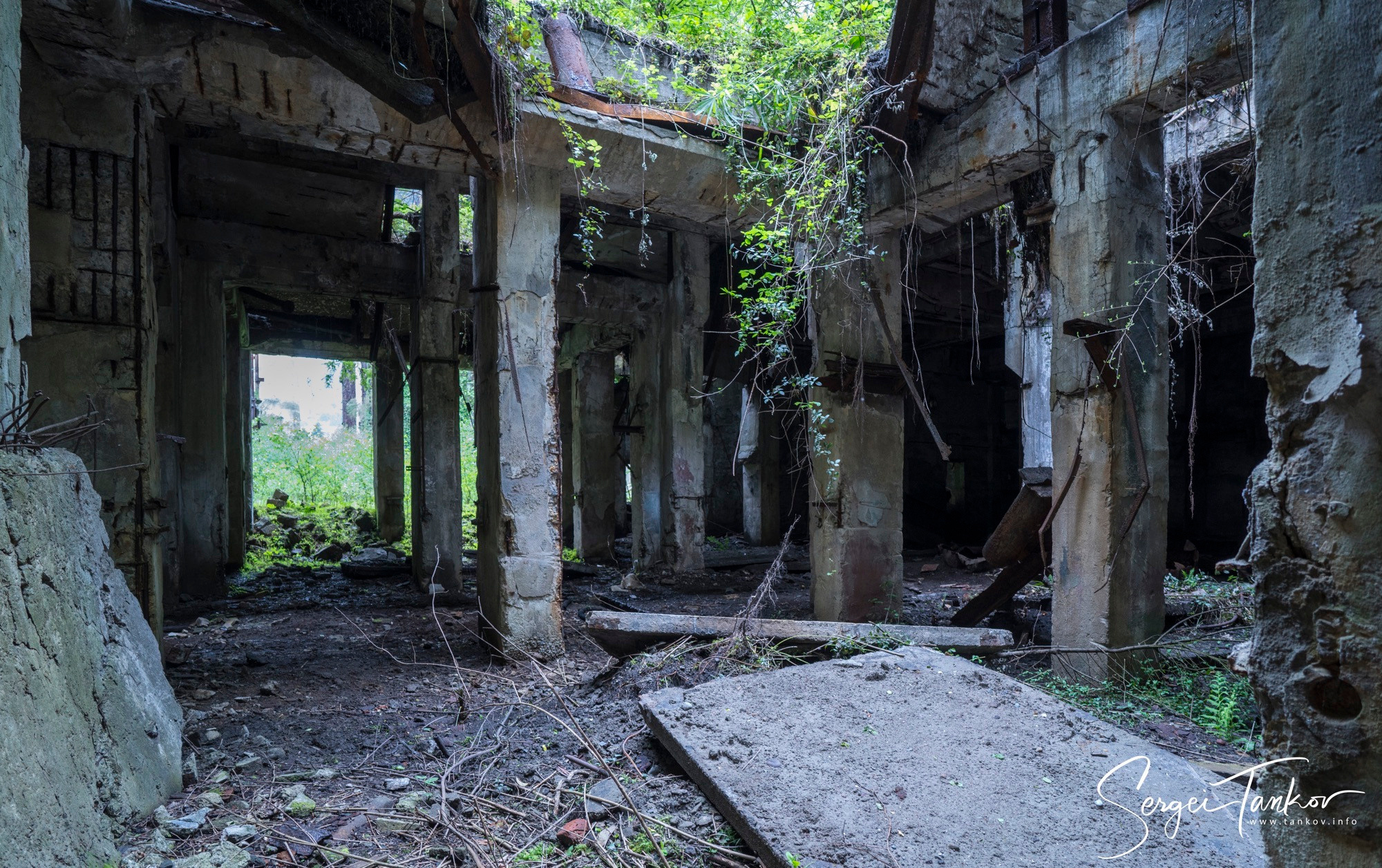 Абхазия (май 2019). Фотограф Сергей Танков