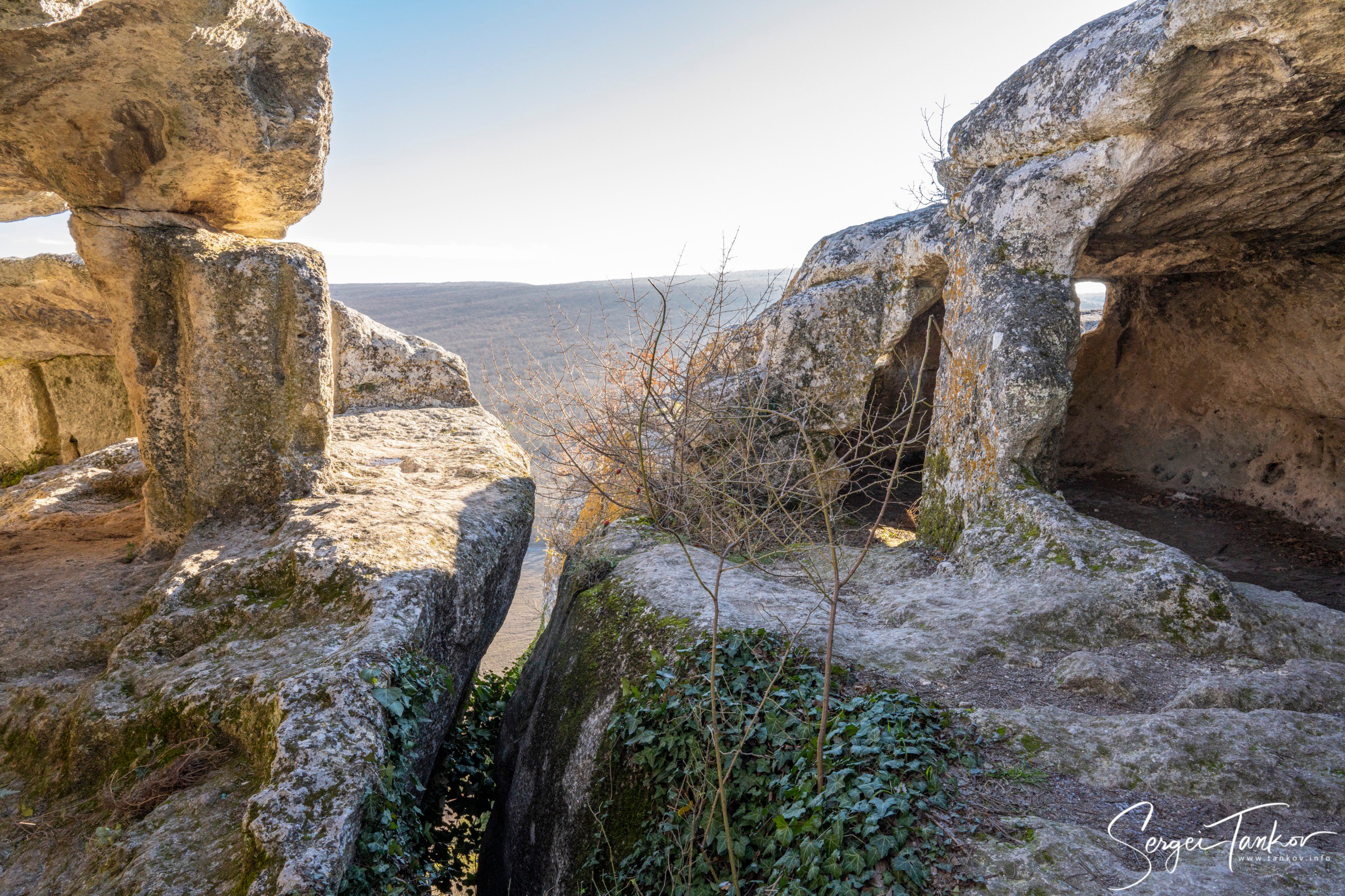 Крым (январь 2020). Фотограф Сергей Танков