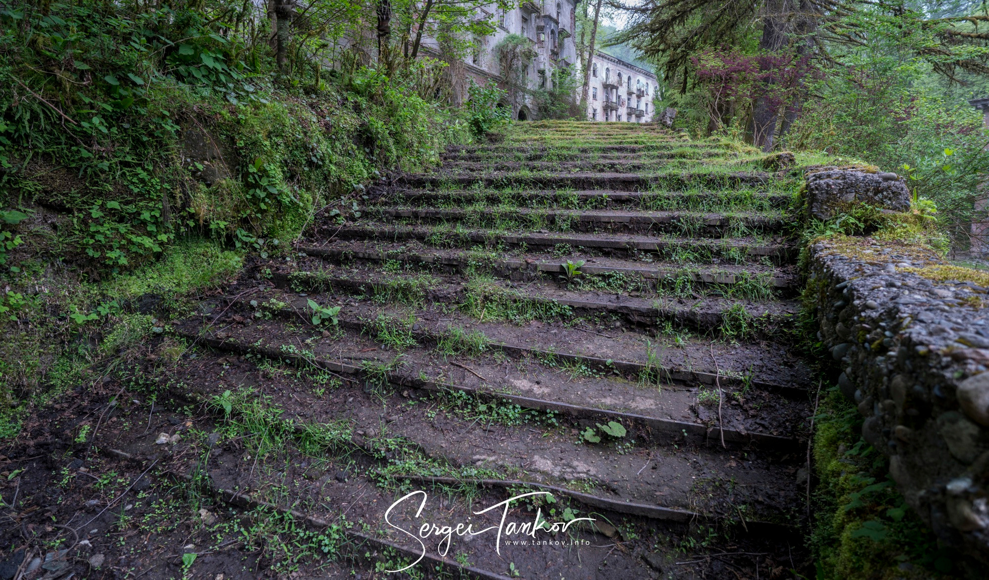 Абхазия (май 2019). Фотограф Сергей Танков