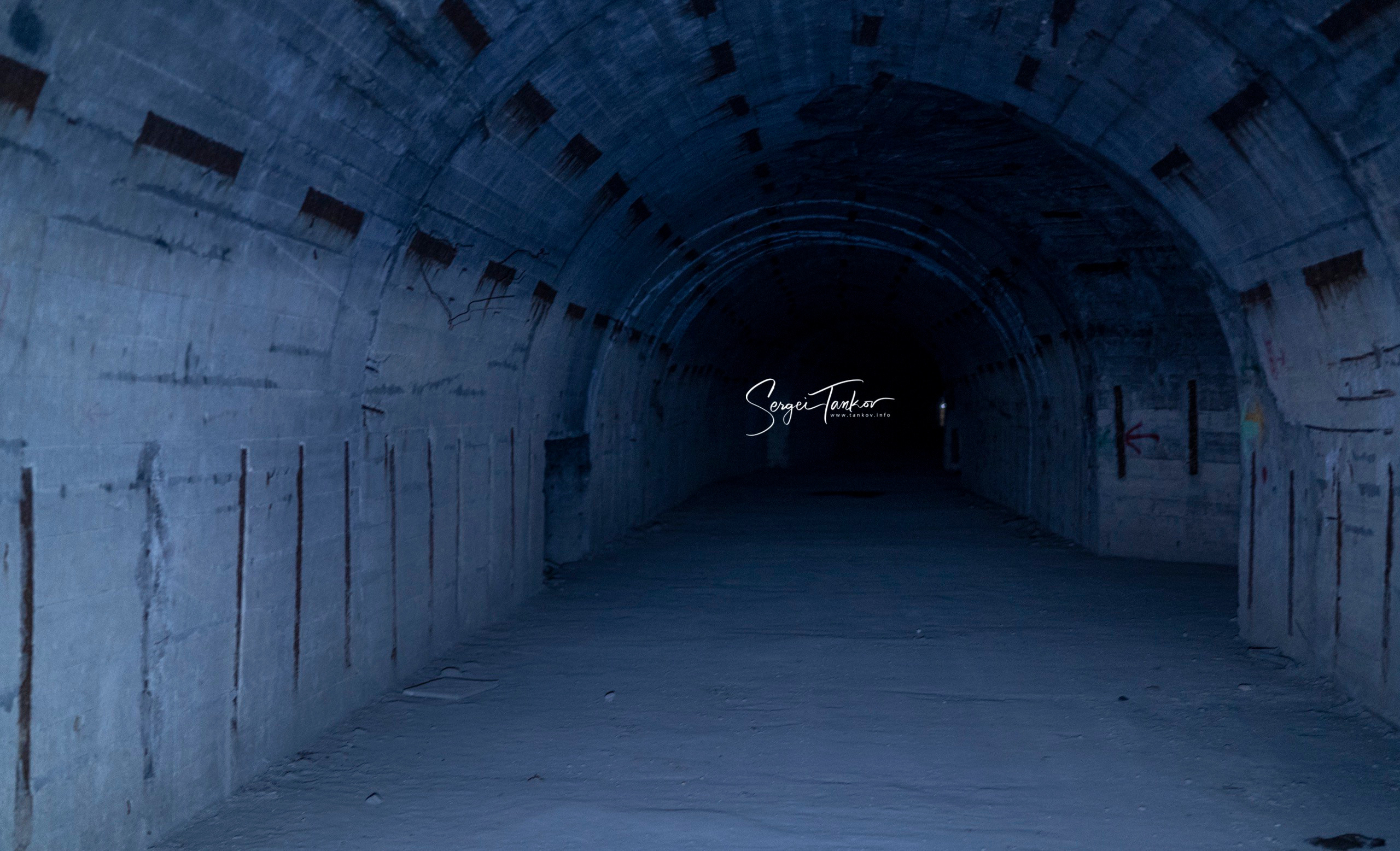 Крым (январь 2020). Фотограф Сергей Танков