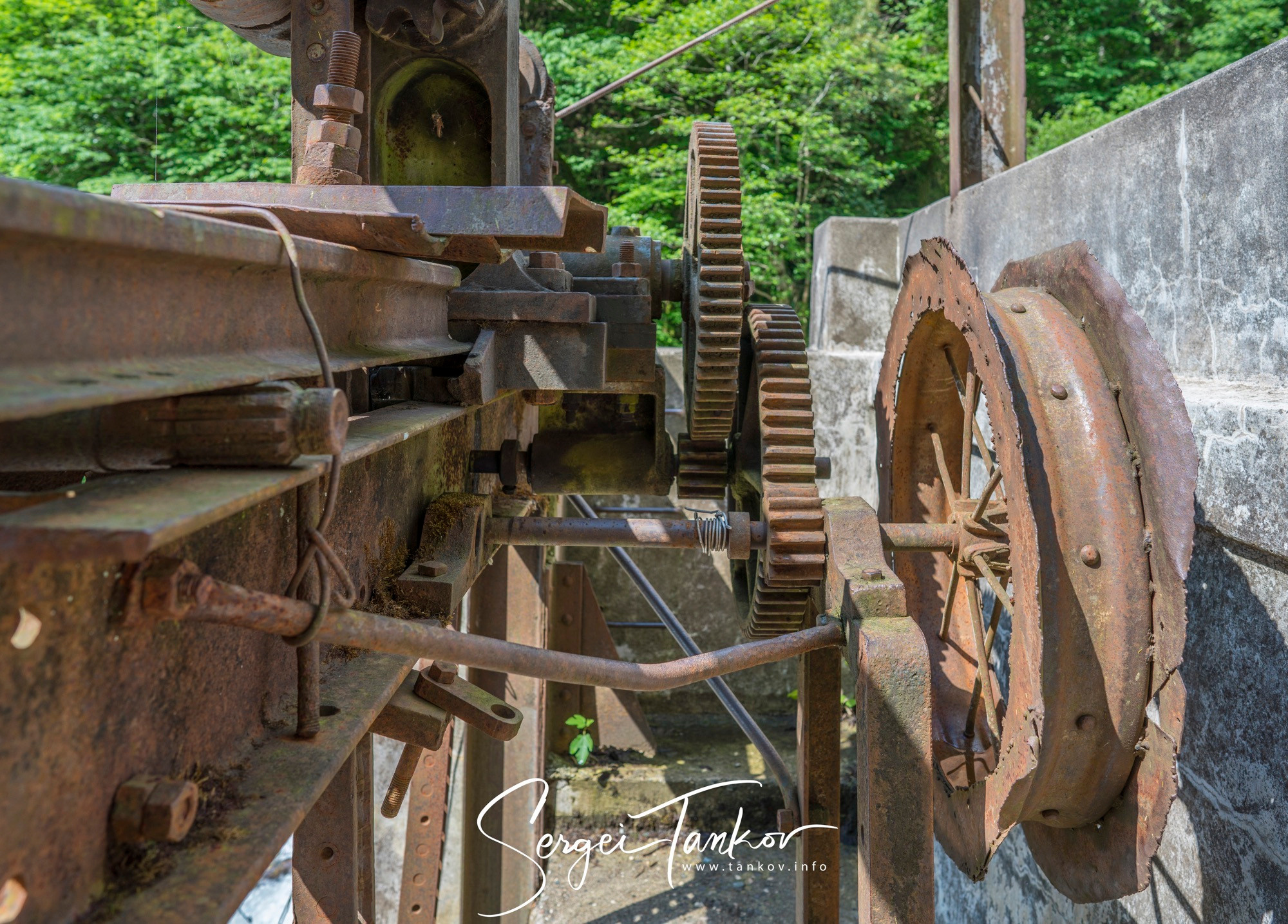 Абхазия (май 2019). Фотограф Сергей Танков