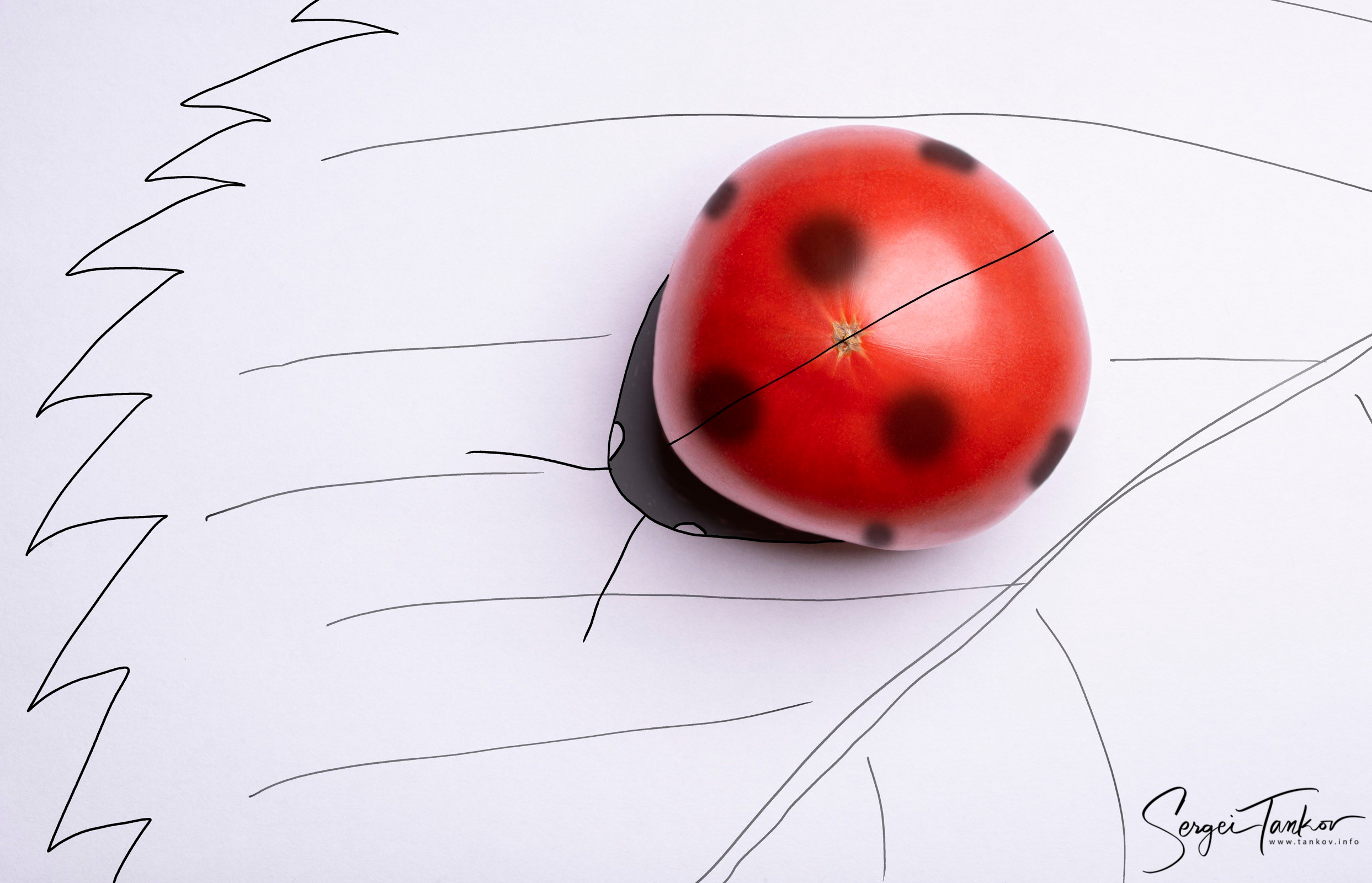 Фоторисунки. Фотограф Сергей Танков