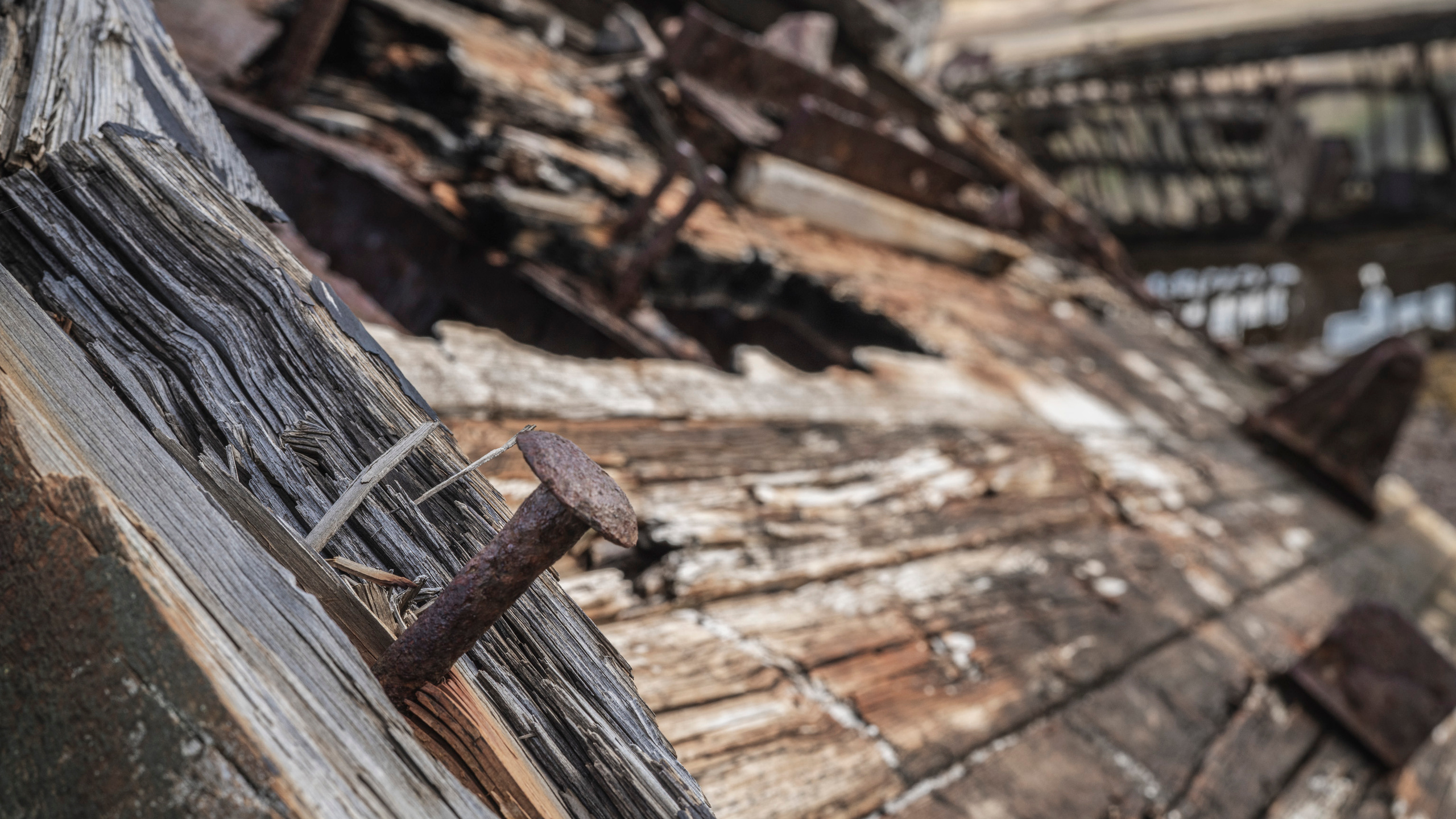 Териберка (октябрь 2020). Фотограф Сергей Танков