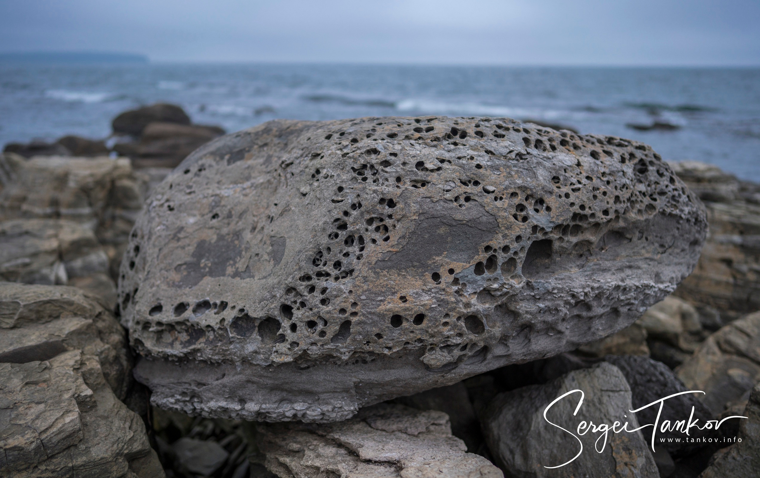 Владивосток (сентябрь 2019). Фотограф Сергей Танков
