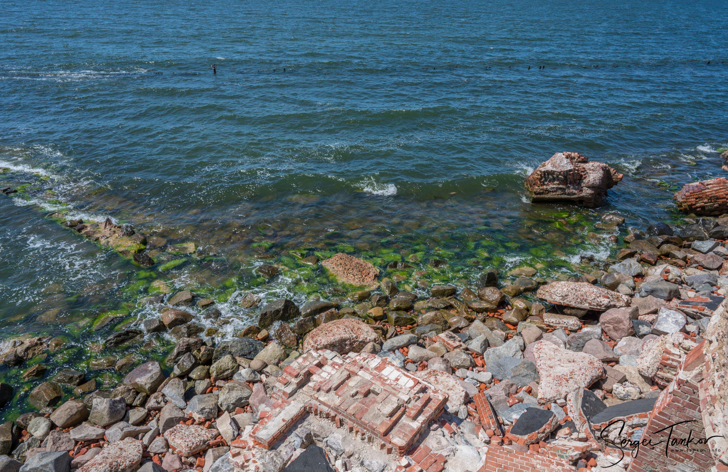 Калининград (июнь 2019). Фотограф Сергей Танков